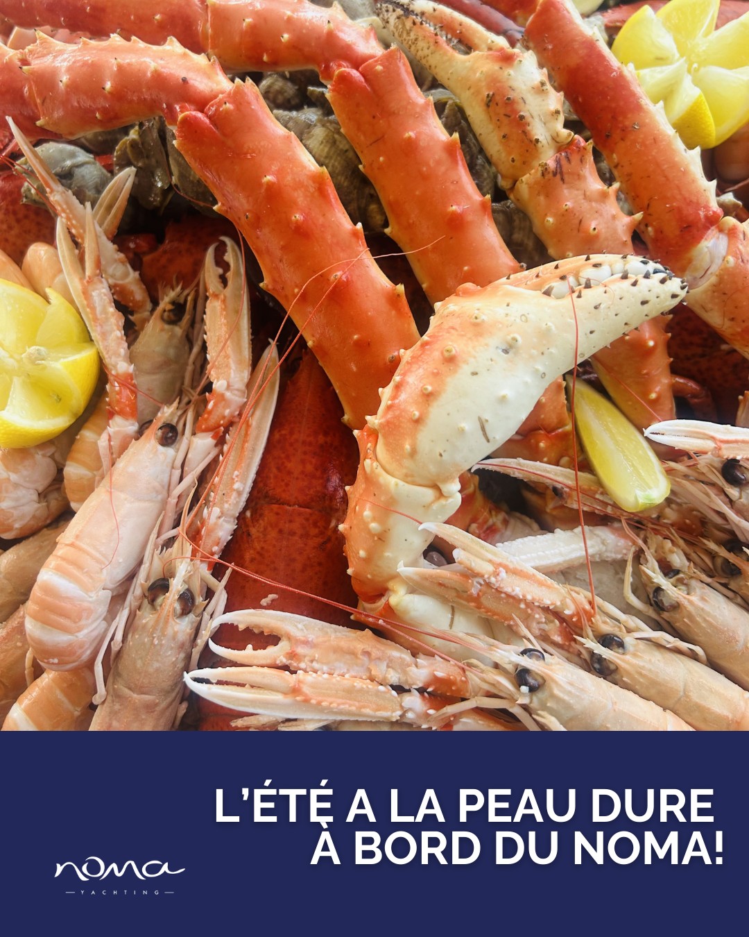 Mais c'est quoi ce temps deđ·??
Aujourd'hui plus que jamais, on a terriblement envie de prolonger l'été avec vous!!!!!!
L'équipage du Noma vous le promet : l'été indien arrive pour la 2Úme quinzaine de septembre (mais on ne sait pas pour combien de temps)! A vous le Noma et ses soirées douces, pour des moments uniques en famille, amis ou encore collÚgues.
RĂ©servez vite, il y 'en aura (peut-ĂȘtre) pas pour tout le monde...