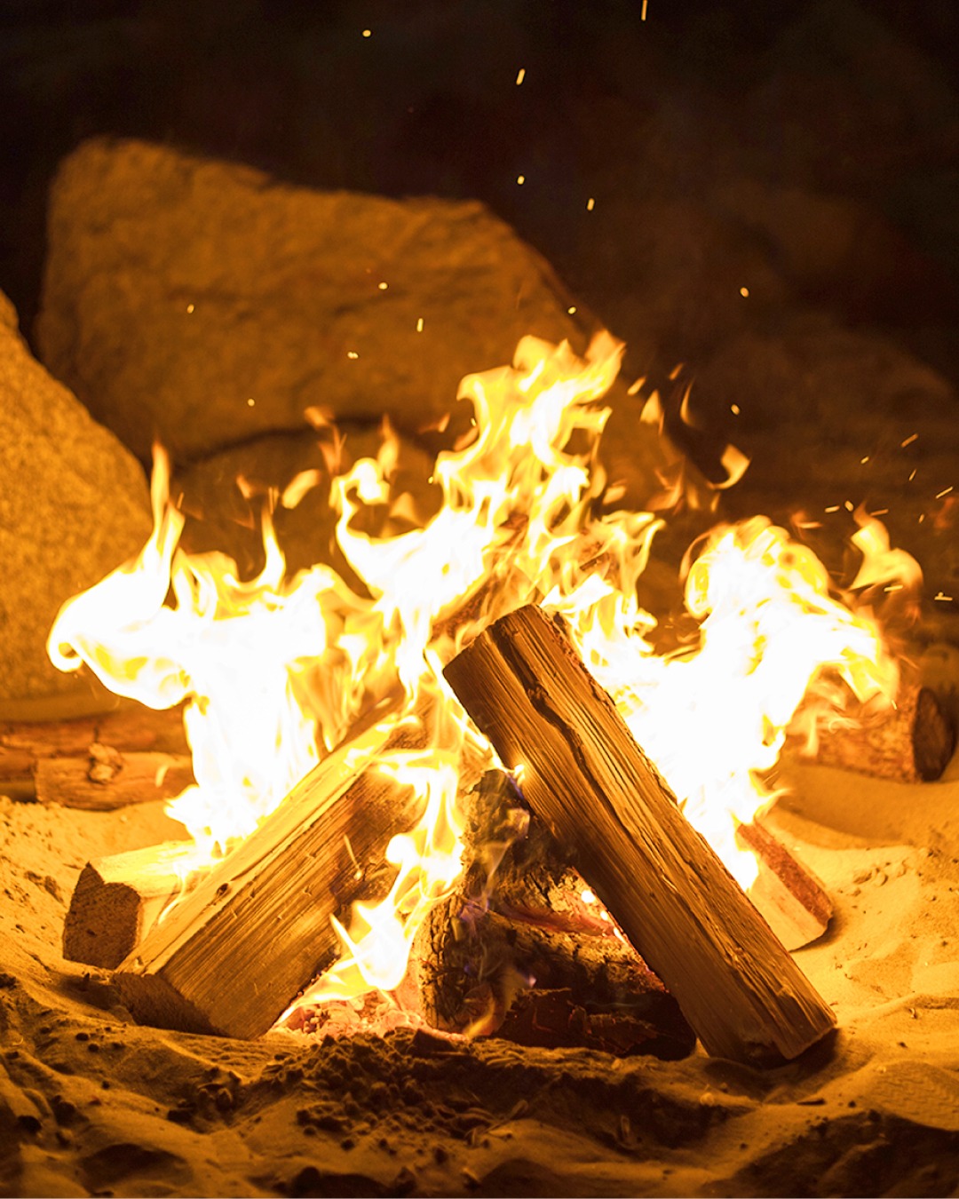 Crackle, sea breeze, slow chats. ✨
See you by the shore tonight @ sunlighthotelsandresorts.com.
#DoseOfSunlight #SETIR #Palawan #Philippines #bonfirenight