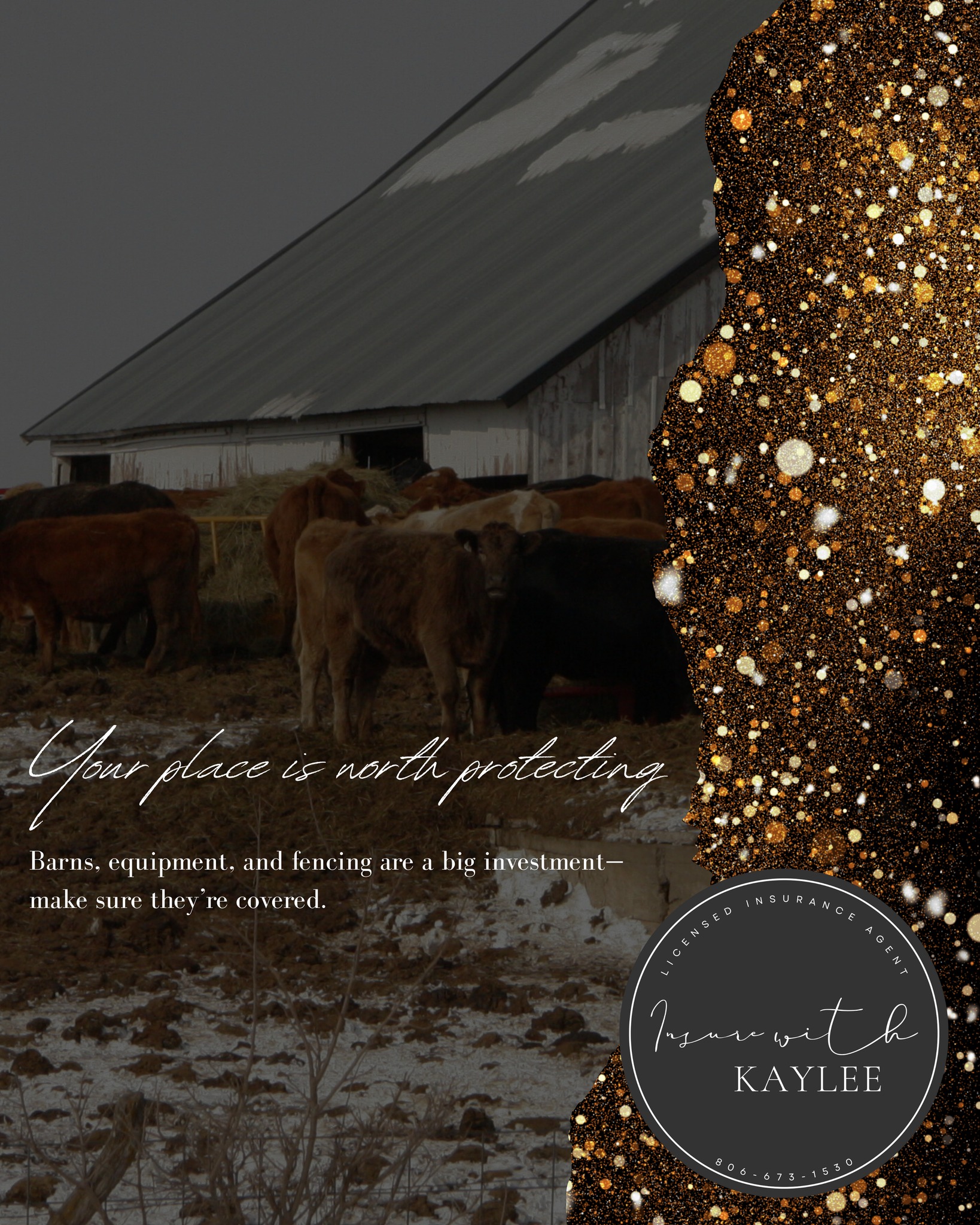 Your barns, equipment, and fencing are more than just property—they’re the backbone of your operation. Farm & ranch insurance helps make sure those big investments stay protected, no matter what comes your way.
Insurewithkaylee@gmail.com
https://www.kayleeimkeequineagent.com/copy-of-livestock