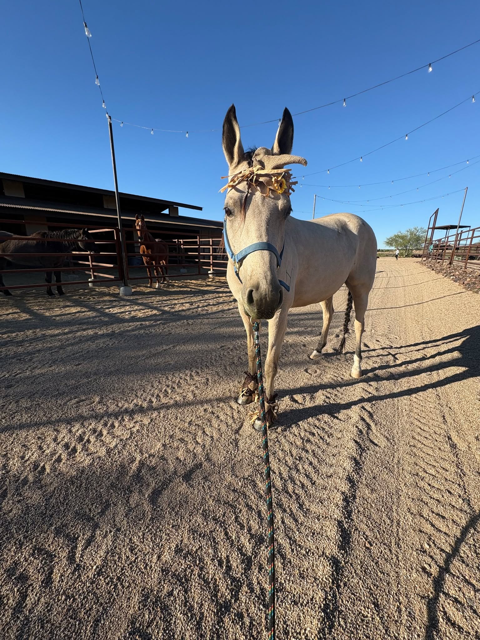 Happy First Day of Fall!