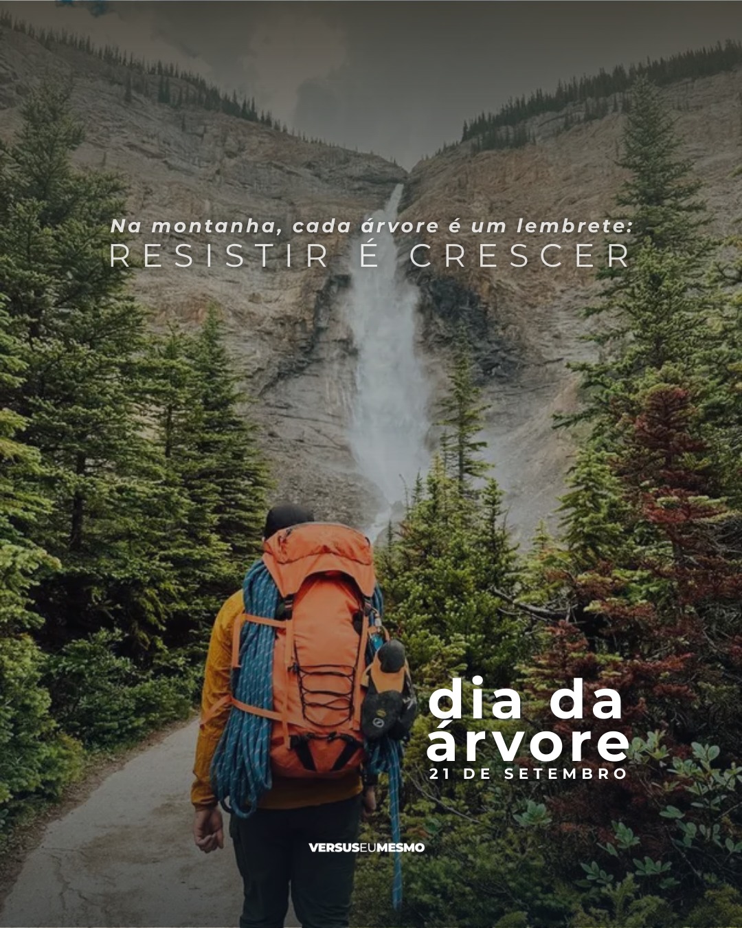 O Dia da Árvore nos lembra que cada expedição só é possível porque a natureza resiste. 🌱
As árvores protegem o solo, regulam o clima e mantêm vivas as trilhas que percorremos.
Cuidar delas é cuidar das montanhas, dos caminhos e das próximas gerações que também sonham em chegar ao topo.
👉 Que tal aproveitar esse dia para refletir: o que você pode fazer hoje para preservar a natureza que te inspira?
#DiaDaÁrvore #MontanhismoConsciente #PreservarÉViver #VersusEuMesmo #VidaAoArLivre