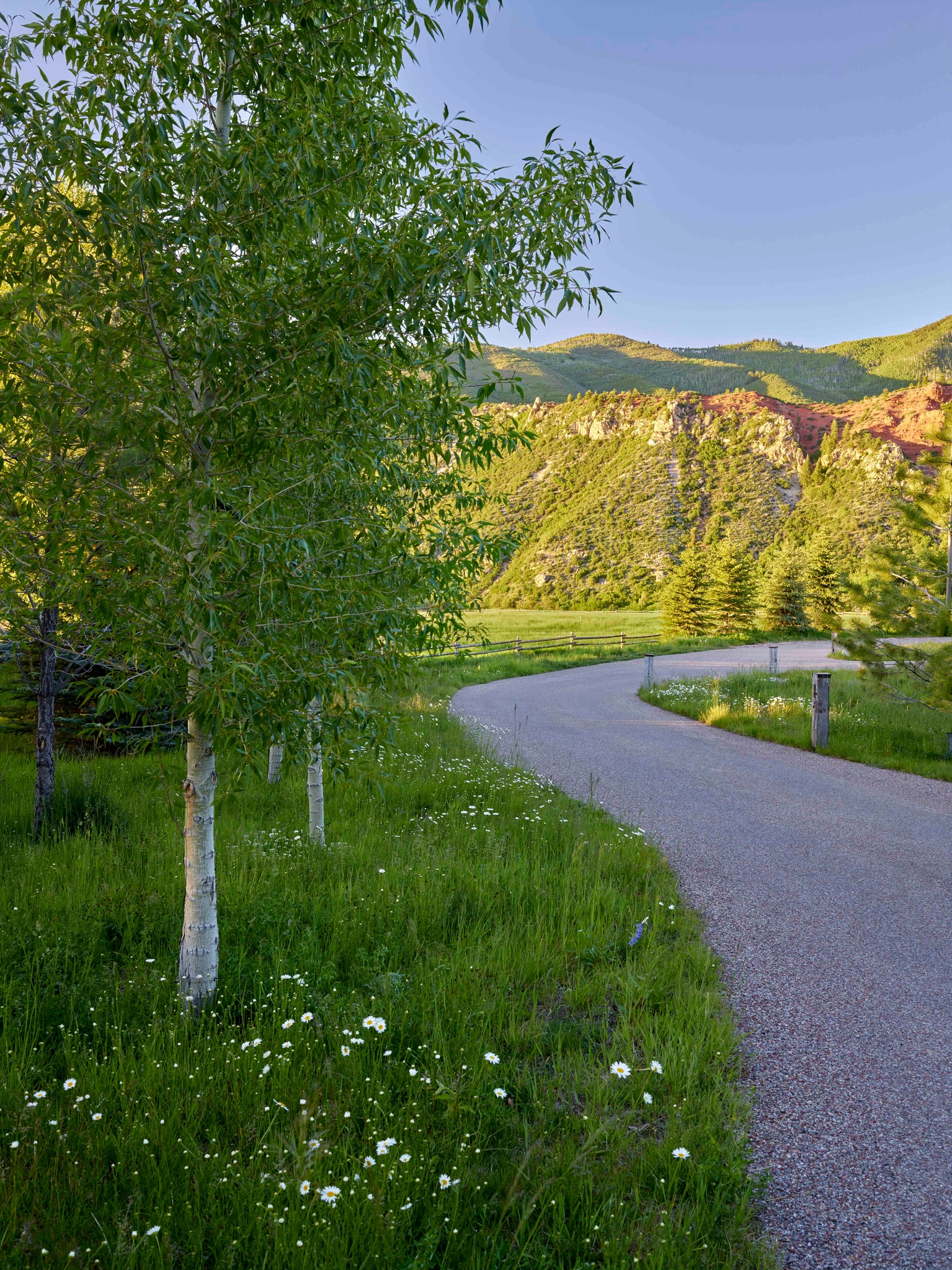 first impressions matter!🚗👋🏻
Driving into this residence offers visitors a preview of what lies ahead through visual cues—pastoral scenery reflects the ranching heritage of the area, while the aspen canopy signals the transition into a more private retreat.✨
📸: @marionbrenner
#landscapearchitecture #landscapedesign #landscape #gardendesign #design #garden #plants #luxurydesign #luxurylandscape #gardensofinstagram #landscapes #landarch #landscapefirst #DesignWithPurpose #PlaceBasedDesign
