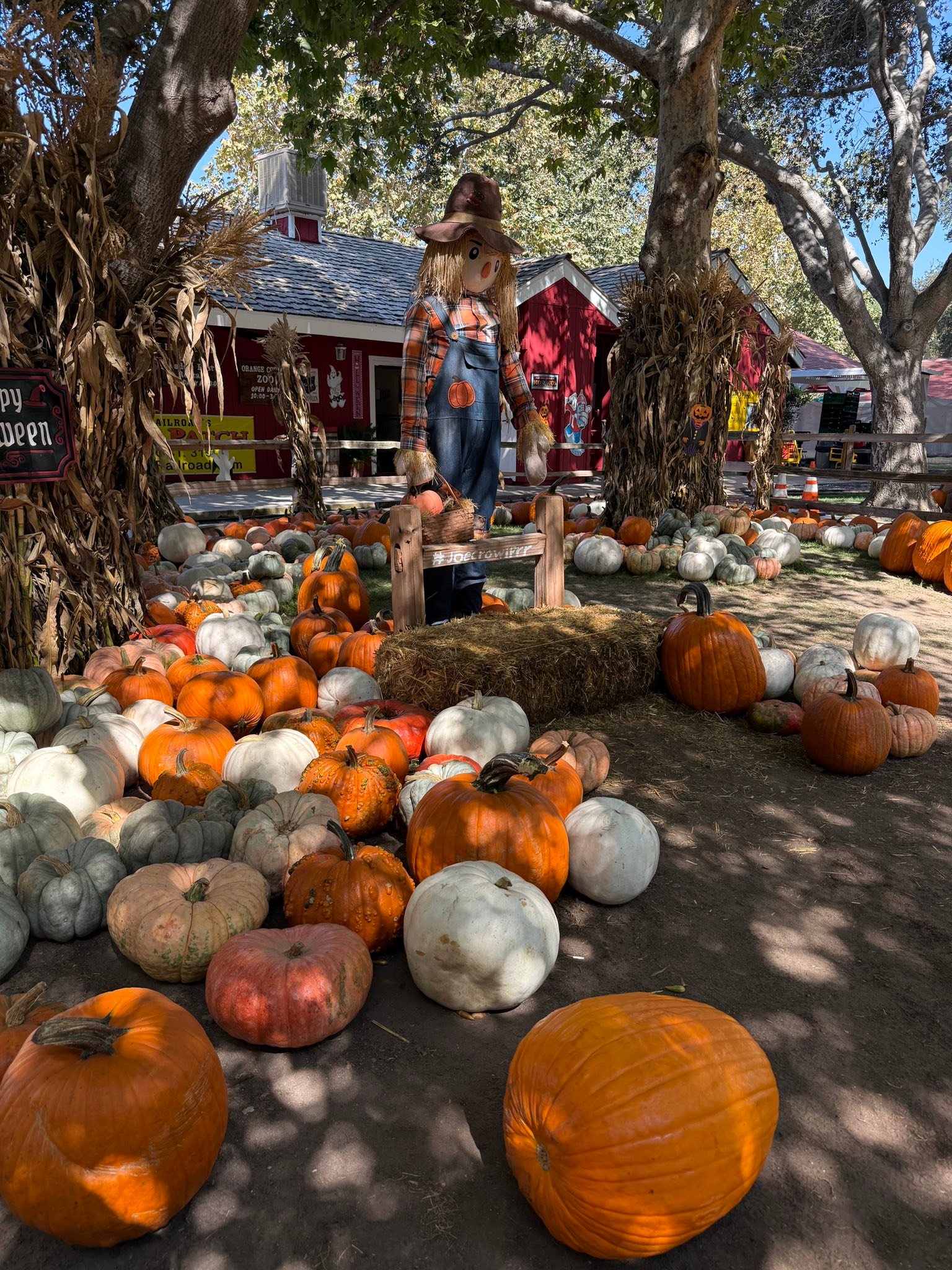 I was enjoying a nice walk in the park when a bee got stuck in my hair and stung my scalp.
What are the chances?
It’s going to be a great week!
P.S. took some Allegra, just in case.