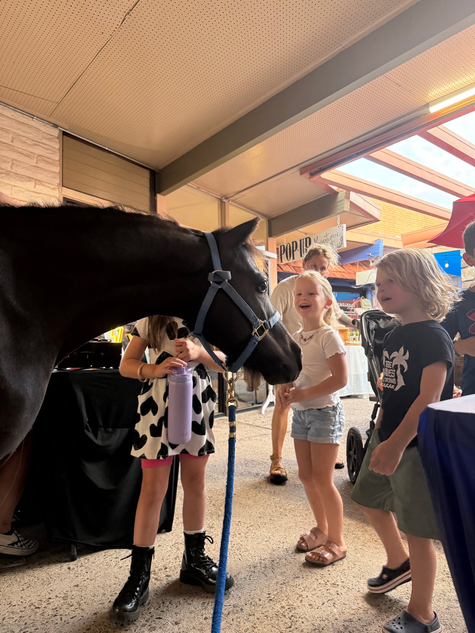 Heartprints went on a little field trip to a farmers market! Pony was the obvious star of the show, and he loved getting to meet all of his adoring fans. We're looking forward to more of these outings as the weather cools down!
