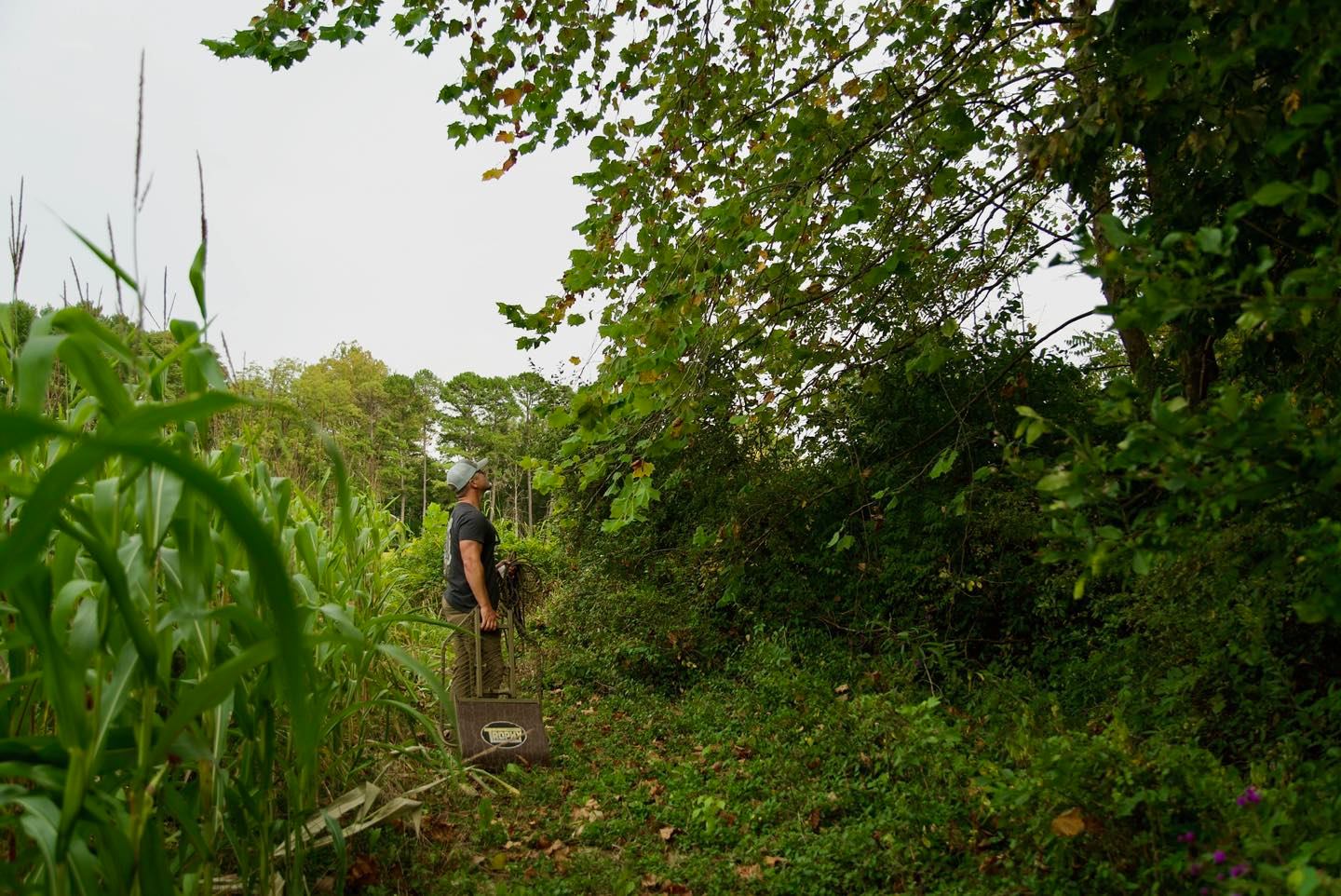 Mobility wins in bowhunting. The Explorer LT Hang-On is built to keep you versatile and deadly in early season and everything after.
📸: @durlwood_outdoors
FREE Shipping Site-Wide 📦
Shop today at the link in bio or your local dealer.
#TrophyTreestands