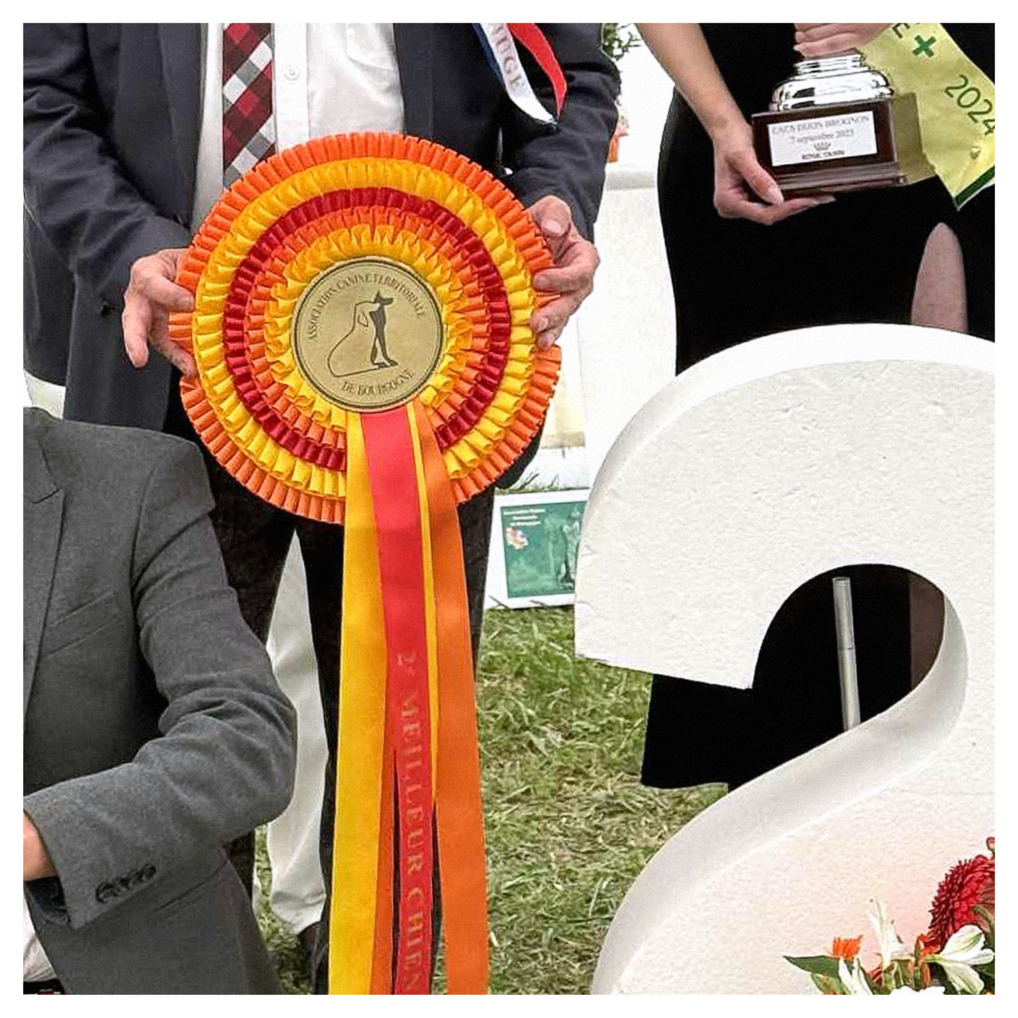 ✨ Nos flots ont été mis à l’honneur lors des CACS des 6 & 7 septembre 2025 au Château de Brognon ! 🐩🏆
Un grand merci a la Société Canine de Bourgogne pour votre confiance ! 🙏
#Canin #RemiseDesPrix #expositioncanine #flot #chien #bourgogne #CACS