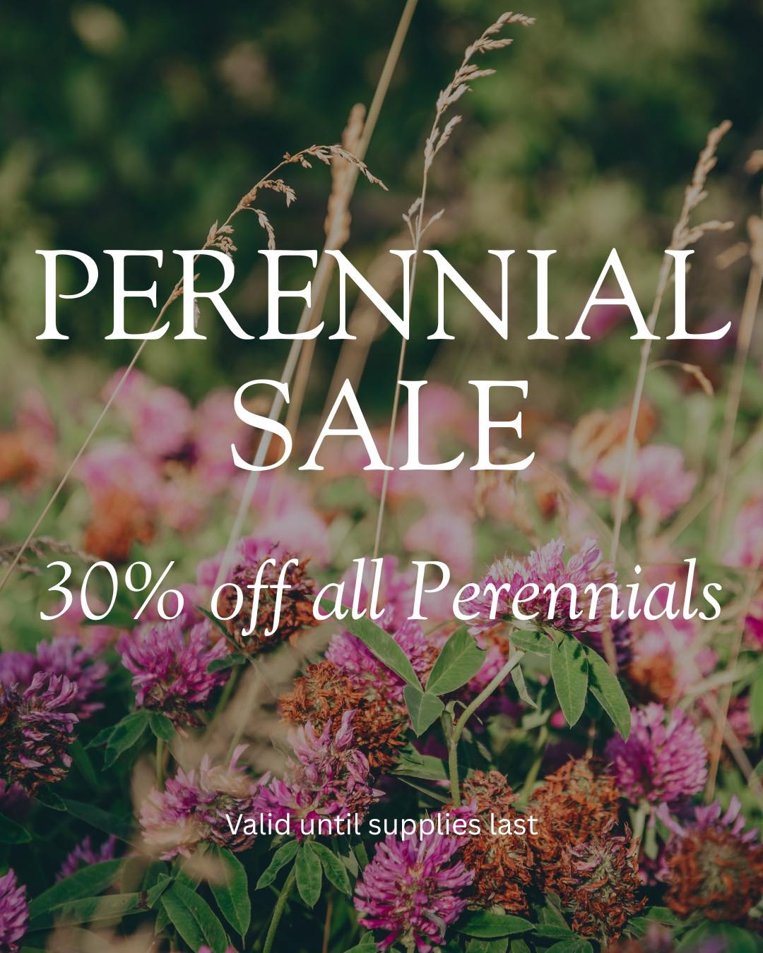 This is a great time to plant!
Get your Perennials established before next Spring for beautiful added color to your yard!
We’re open 10-5!
#gardencenters #gardencenterlife #gardencenter #stcharlesillinois #genevaillinois #bataviaillinois #sugargroveil #oswegoil #stcharlesil #auroraillinois #genevail #oswegoillinois #bataviail #sugargroveillinois #aurorail