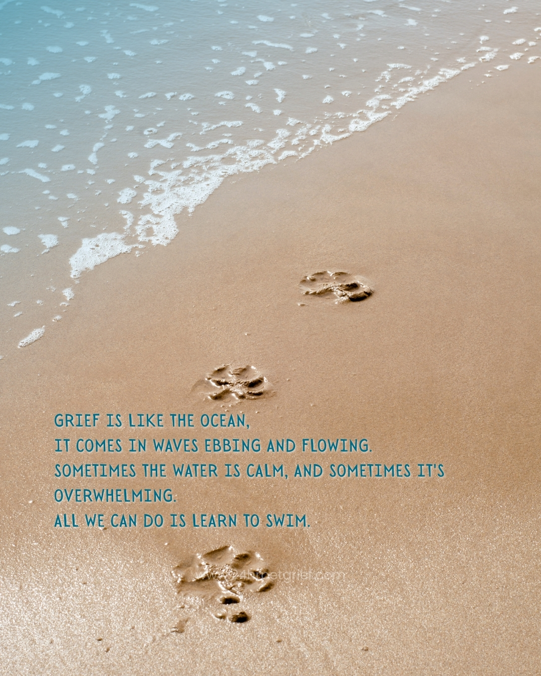 Just like the ocean, grief after losing a beloved pet ebbs and flows.
Some days feel calm, others can be overwhelming but every wave is a sign of the deep love you shared. 🐾
💙 Be gentle with yourself. Healing isn’t about “getting over it,” it’s about learning to move with the tide while carrying your pet’s memory forward.
✨ You’re not alone,
pet grief support and a caring pet loss community are here when the waves feel too strong.