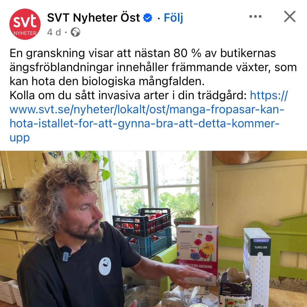 Jag läste precis den här artikeln om att 80% av butikernas ängsfröblandningar innehåller fröer till växter som kan skada den biologiska mångfalden! 😱 Det borde vara lätt att göra rätt men det är det tyvärr inte.
Många av de som anlägger en äng gör det för att de vill gynna den biologiska mångfalden, inte skada den. 🐝
Se till att läsa på ordentligt innan du väljer fröblandning. Har du sett att det finns tips i appen Mitt Trädgårdsår om hur du anlägger och sköter en äng? Du får även påminnelser om när och hur den ska slås.
https://www.svt.se/nyheter/lokalt/ost/manga-fropasar-kan-hota-istallet-for-att-gynna-bra-att-detta-kommer-upp
#anläggaäng #äng #biologiskmångfald