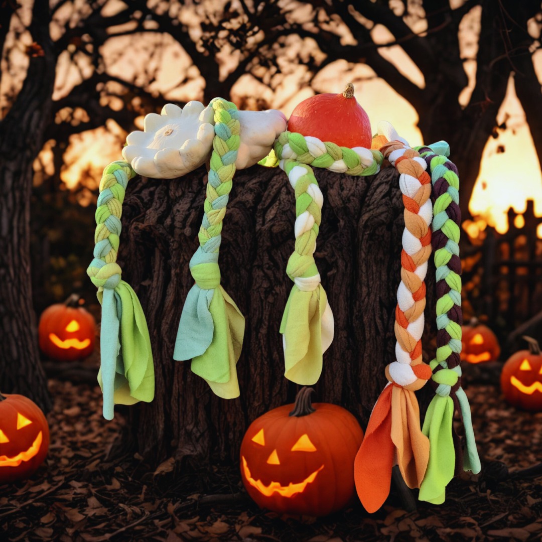 La Zouzoulerie fête Halloween ! 👻
La nouvelle collection Hell’Oween débarque sur notre site le 24 septembre : des créations effrayamment adorables, des nouvelles couleurs pour gâter vos compagnons à 4 pattes 🐶🐱
🎃 Et parce que c’est la saison des bonnes surprises : la livraison est offerte à partir de 15€ !
Rendez-vous sur la boutique en ligne pour découvrir la collection
www.lazouzoulerie.com
#Halloween #dogshop #LaZouzoulerie #jouetspourchiens #jouetspourchats #faitmain #madeinfrance #dogsofinstagram #catwoman #shoppingaddict #faitenfrance #morvan #horrorlover #labellenièvre