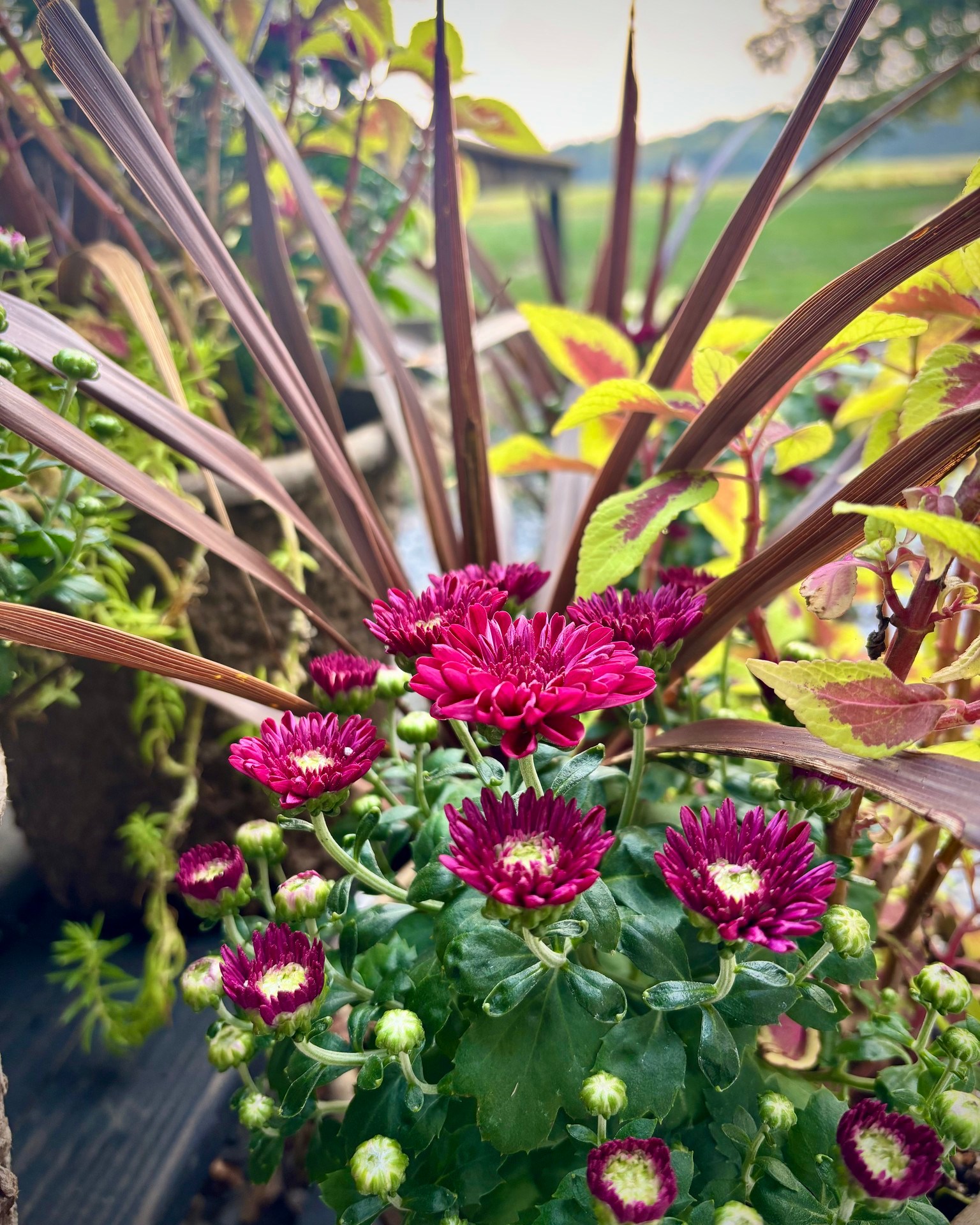 Open House is TOMORROW! I hope you can join me Saturday, Sept 20 from 10-4 for a fun celebration of fall. The studio looks beautiful (and so festive).