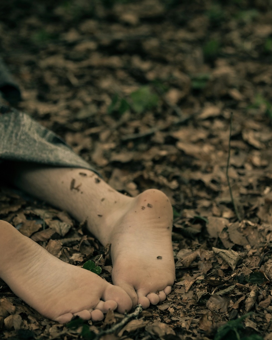 “Those boys wanted Dana’s blood. They wanted power, and they took her…” Her face crumpled, and she covered her face with her hands. A high-pitched keening sounded, like the cry of a bobcat at dusk, and it lifted the hair on the back of my neck.
Excerpt from The Sister’s Curse by Nicola Solvinic from @berkleypub . Now available for pre-order: (Link in Bio)
#nicolasolvinic #thesisterscurse #mysteryauthor #crimeauthor #thrillerwriter #criminology #crimefiction #crimethriller #crimenovel #suspensenovel #thrillerbook #murdermystery #mysteryreads #booklovers #bookclub #newrelease #bookreview