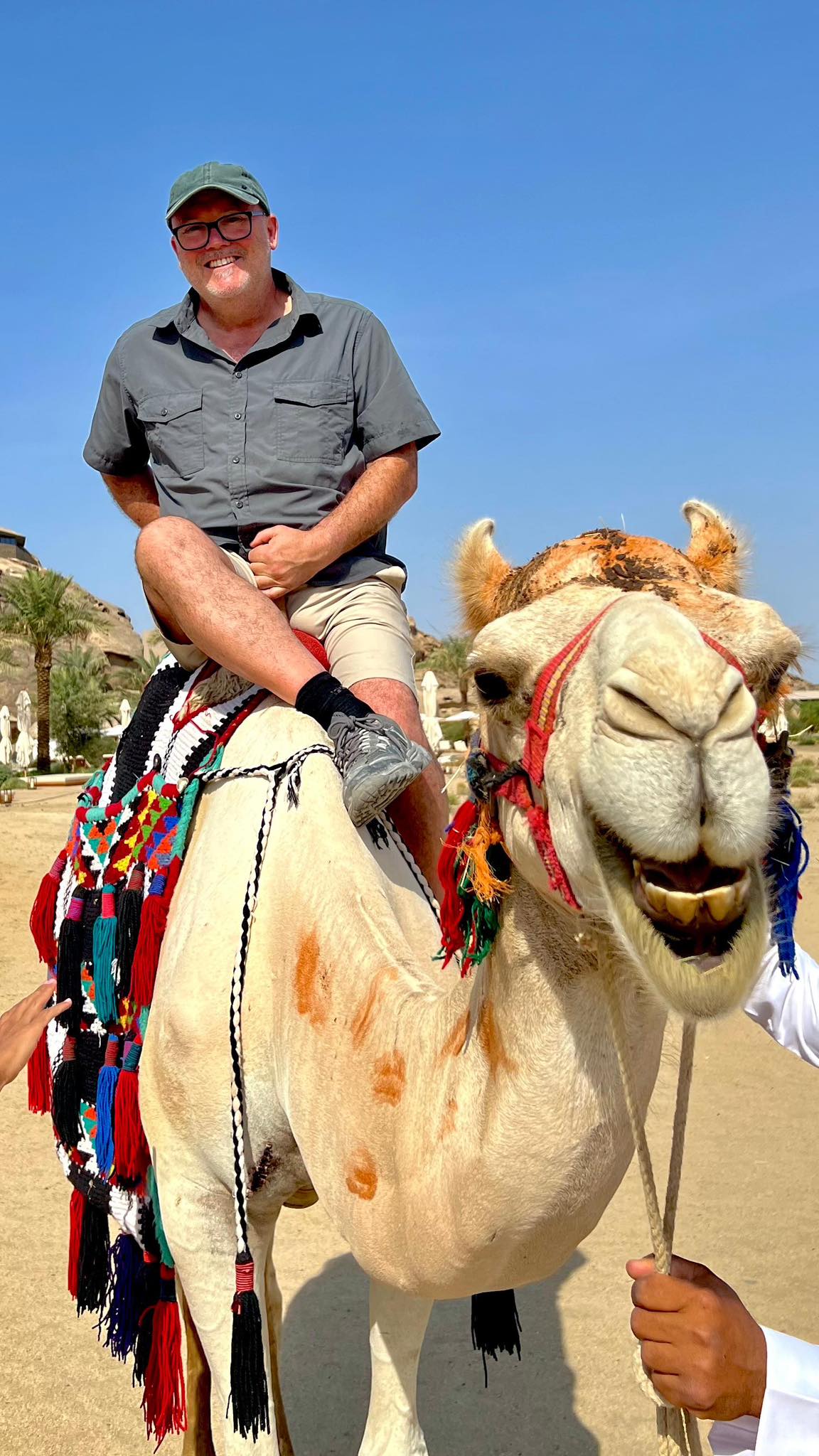 The camel thought this was hilarious.