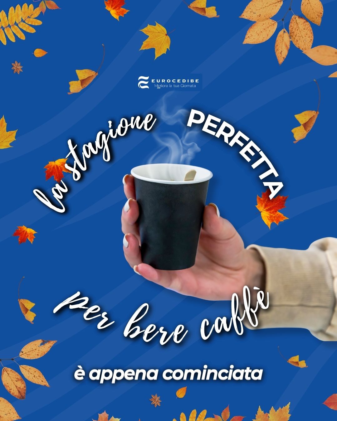 🍂 L’autunno segna l’inizio della stagione perfetta per un buon caffè.
Un piccolo gesto che scalda le giornate e accompagna il lavoro con energia e qualità ☕
💯 Eurocedibe è al fianco di aziende e persone ogni giorno, garantendo distributori sempre efficienti e prodotti selezionati con cura.
Perché la pausa non è mai solo un momento, ma un valore che migliora la giornata✨
👉 Scopri di più sui nostri distributori e valori:
🌎 https://www.eurocedibe.it/miglioralatuagiornata
📞 800.943.011
📧 info@eurocedibe.it
----
autunno e caffè
cosa bere in autunno
bevanda calda in autunno anche in ufficio
cosa bere in ufficio di caldo
pausa caffè
venditori di distributori automatici
azienda di distributori automatici e di caffè
#Eurocedibe #DistributoriAutomatici #DistributoriCaffè
