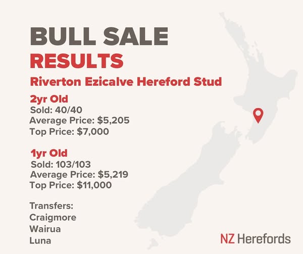 A massive thanks to all our loyal and new clients for a great sale day yesterday, with full clearance,
Thanks to Jason and Annemarie McEwan, who purchased this year's hospice bull, with proceeds split between @hospice_whanganui and @arohanuihospice
@nzflllowernorthisland
@pgwlivestock
@nzherefords
@bidrnz
#dairybeef