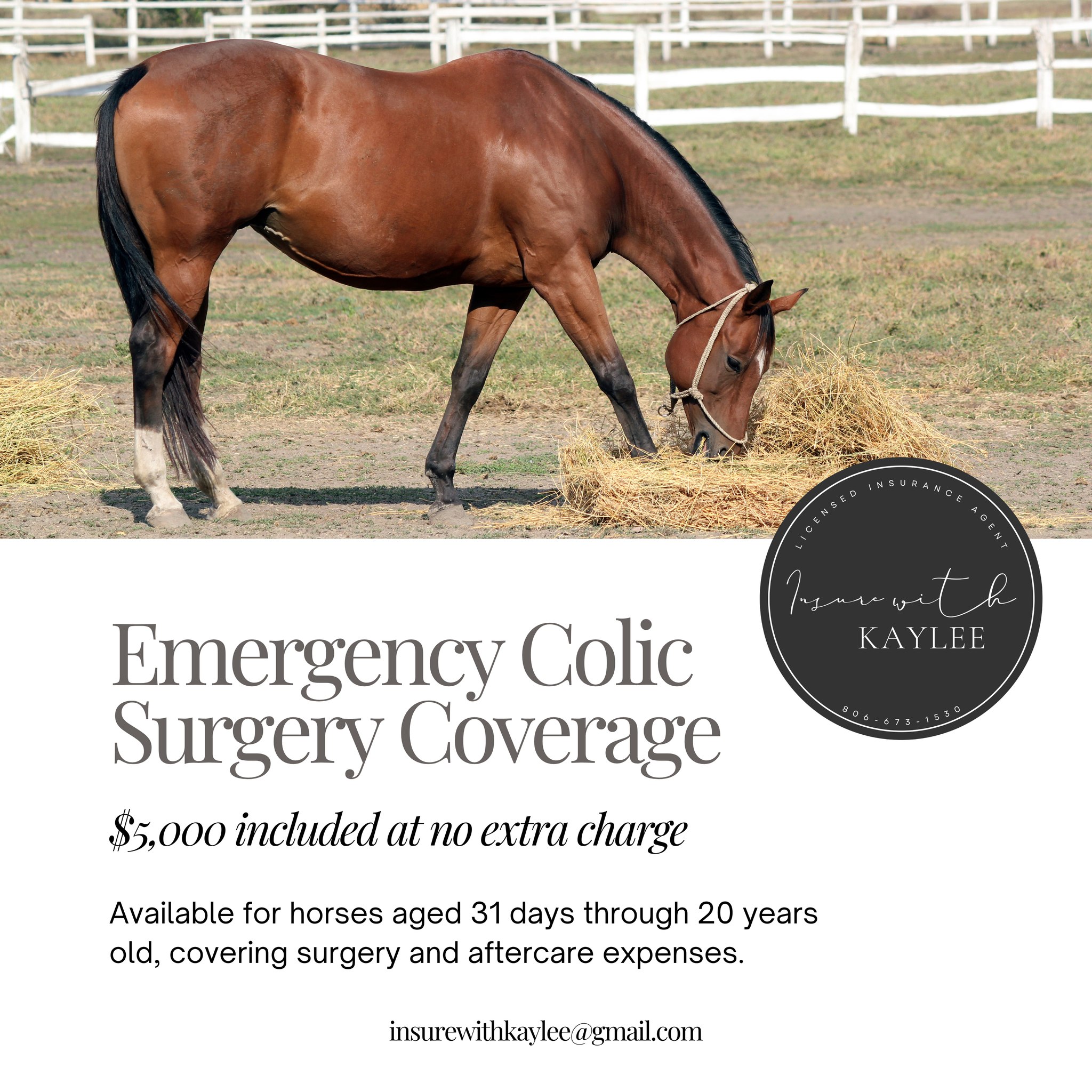 Colic can strike fast — and the vet bill can be overwhelming.
With our mortality policies, $5,000 in Emergency Colic Surgery coverage is automatically included at no extra cost.
Insurewithkaylee@gmail.com