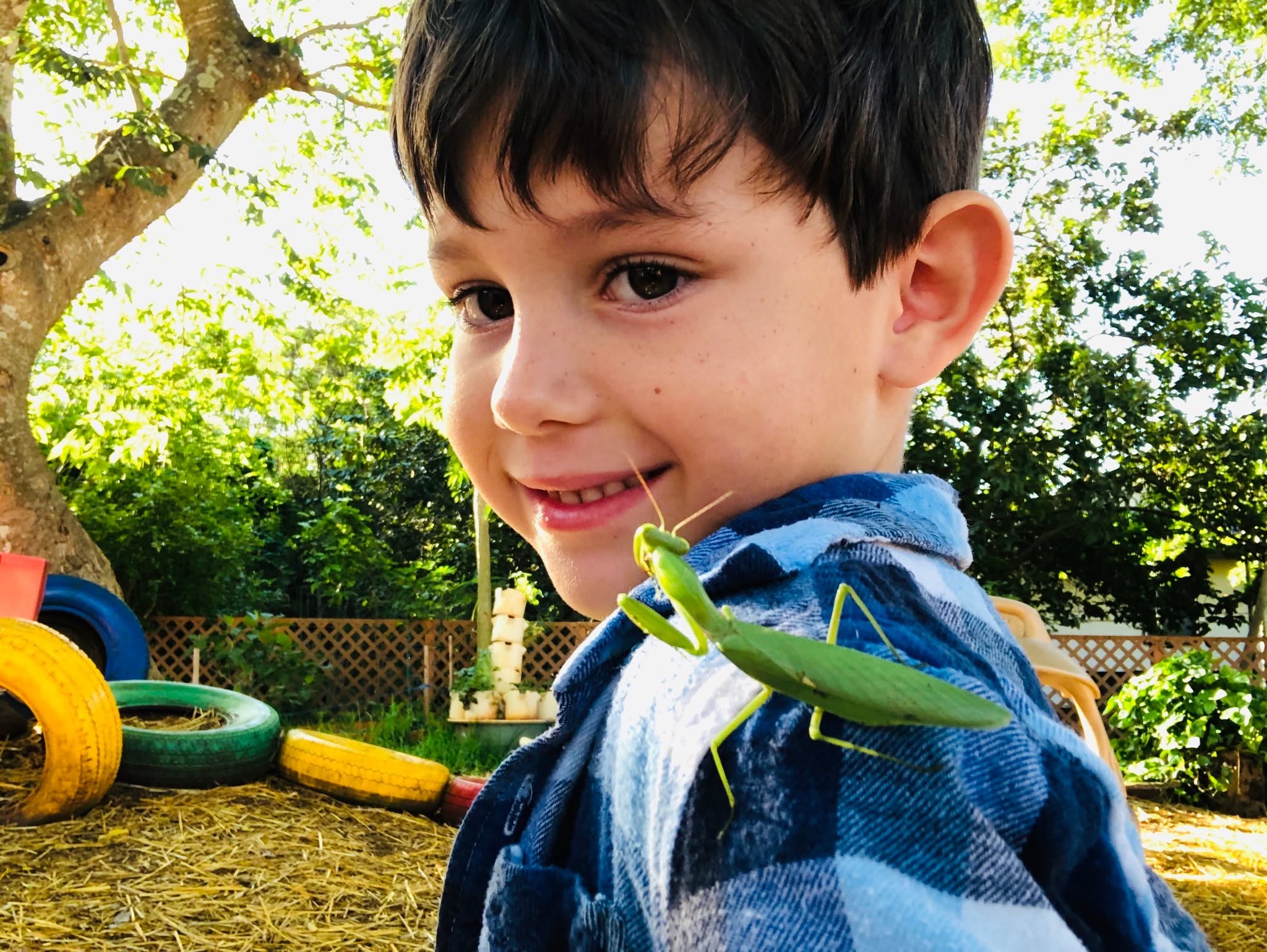🌺 Curiosity is at the heart of learning!
At Ka Hana Pono, every day brings new discoveries — like meeting a friendly praying mantis in the garden. 🌱🪲
✨ Want to see more of these moments?
Follow us on Instagram, where we share the daily magic of keiki exploring, playing, and growing in aloha. 💛
👉🏾 https://www.instagram.com/kahanaponoschools
https://www.kahanaponohaleiwa.com