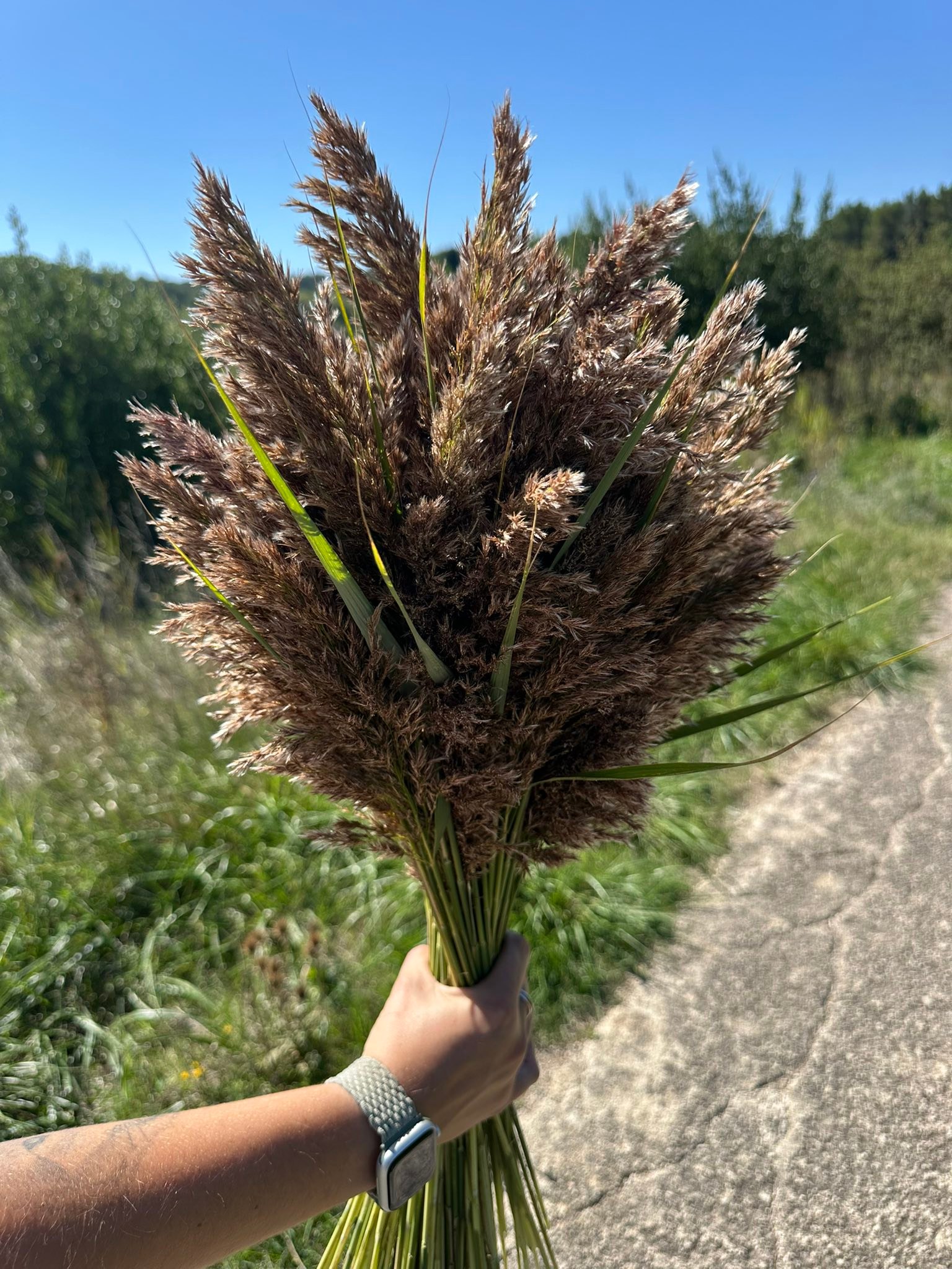 Création décoration Halloweenet Noël
Ballade à la recherche de fleurs
