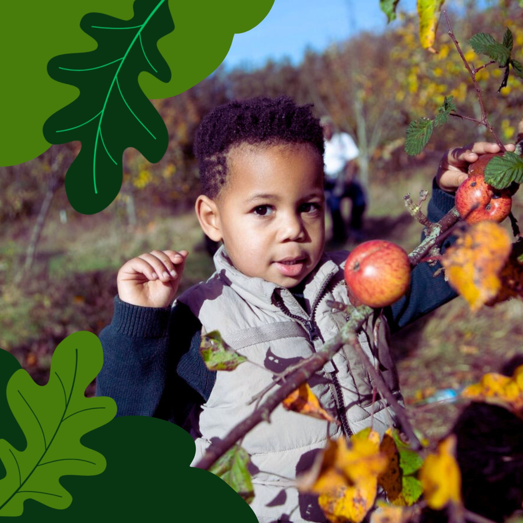 🍎🐦🍏 APPLE DAY EVENT! 🍎🐦🍏
We are super excited to team up with @theparkstrust , a charity that looks after more than 6,000 acres of green space (including ancient woodlands) in Milton Keynes!
Come along to make a FREE apple bird-feeder and enjoy our mini pop up library area with us at The Parks Trust's Apple Day:
📆 Date: Saturday 18th October 2025
🕛 Time: 12:00-4:00pm
📍Location: Woughton on the Green Community Orchard.
Come along to craft, connect & help feed the birds!
#AppleDay #ParksTrust #TheWildTribe #LoveYourLand #NaturePlay