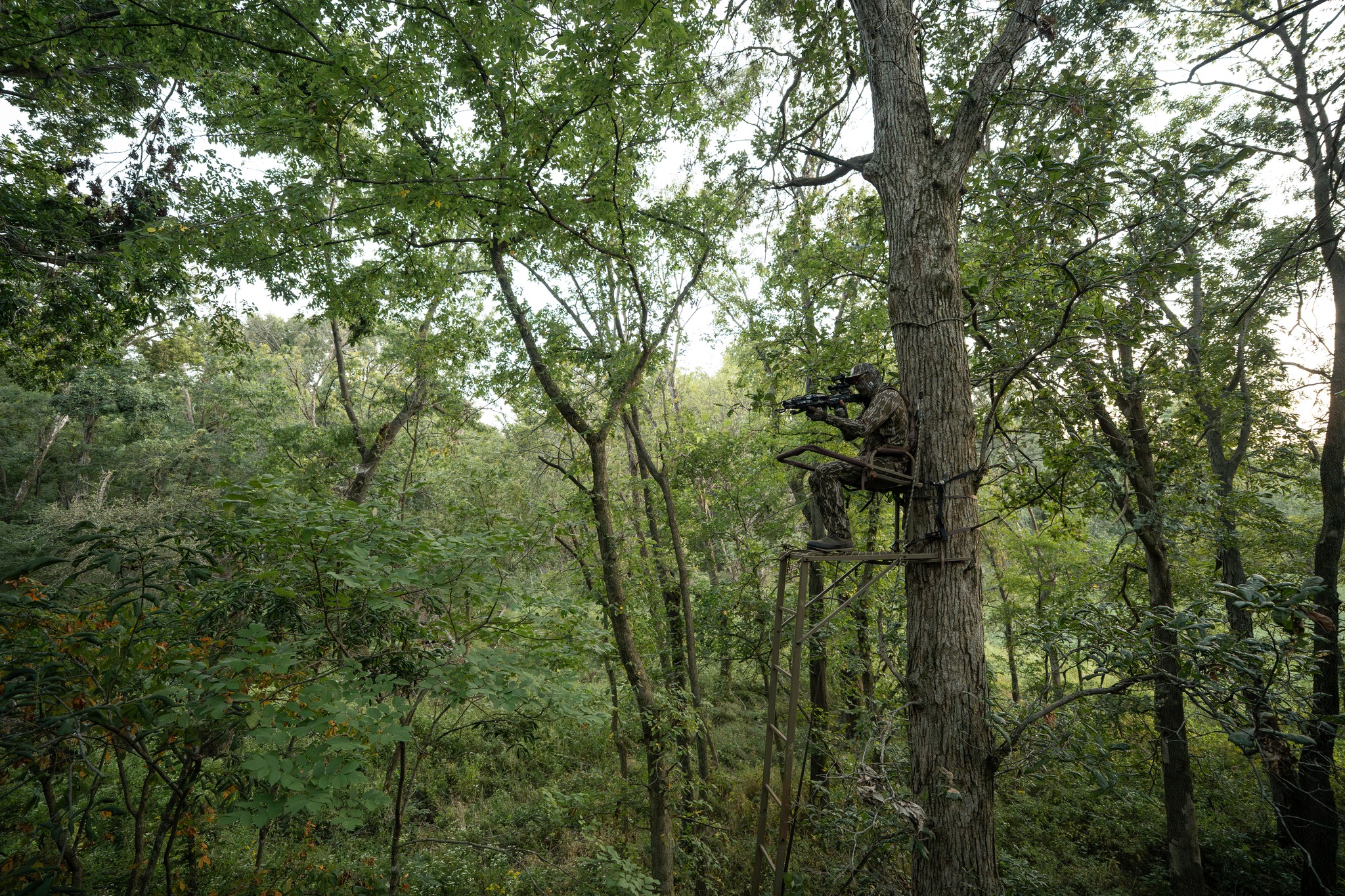 Back where we belong.
📸: @thegivenrighttv
FREE Shipping Site-Wide 📦
Shop today at the link in bio or your local dealer.
#TrophyTreestands