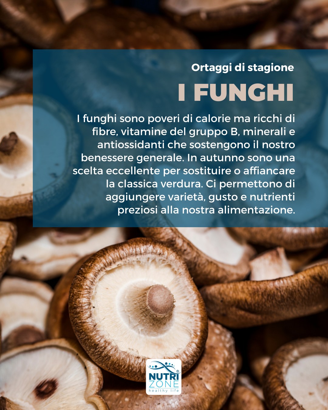 FUNGHI 👇👇👇
I funghi sono poveri di calorie ma ricchi di fibre, vitamine del gruppo B, minerali e antiossidanti che sostengono il nostro benessere generale.
In autunno sono una scelta eccellente per sostituire o affiancare la classica verdura.
Ci permettono di aggiungere varietà, gusto e nutrienti preziosi alla nostra alimentazione.
#teamNutriZone #nutrizone #nutrizione #nutrizionista #biologonutrizionista #biologobrescia #nutrizionistabrescia #biologonutrizionistabrescia #brescia #lombardia #alimentazione #alimentazionesana #cucinasana #cucinasalutare #funghi #autunno