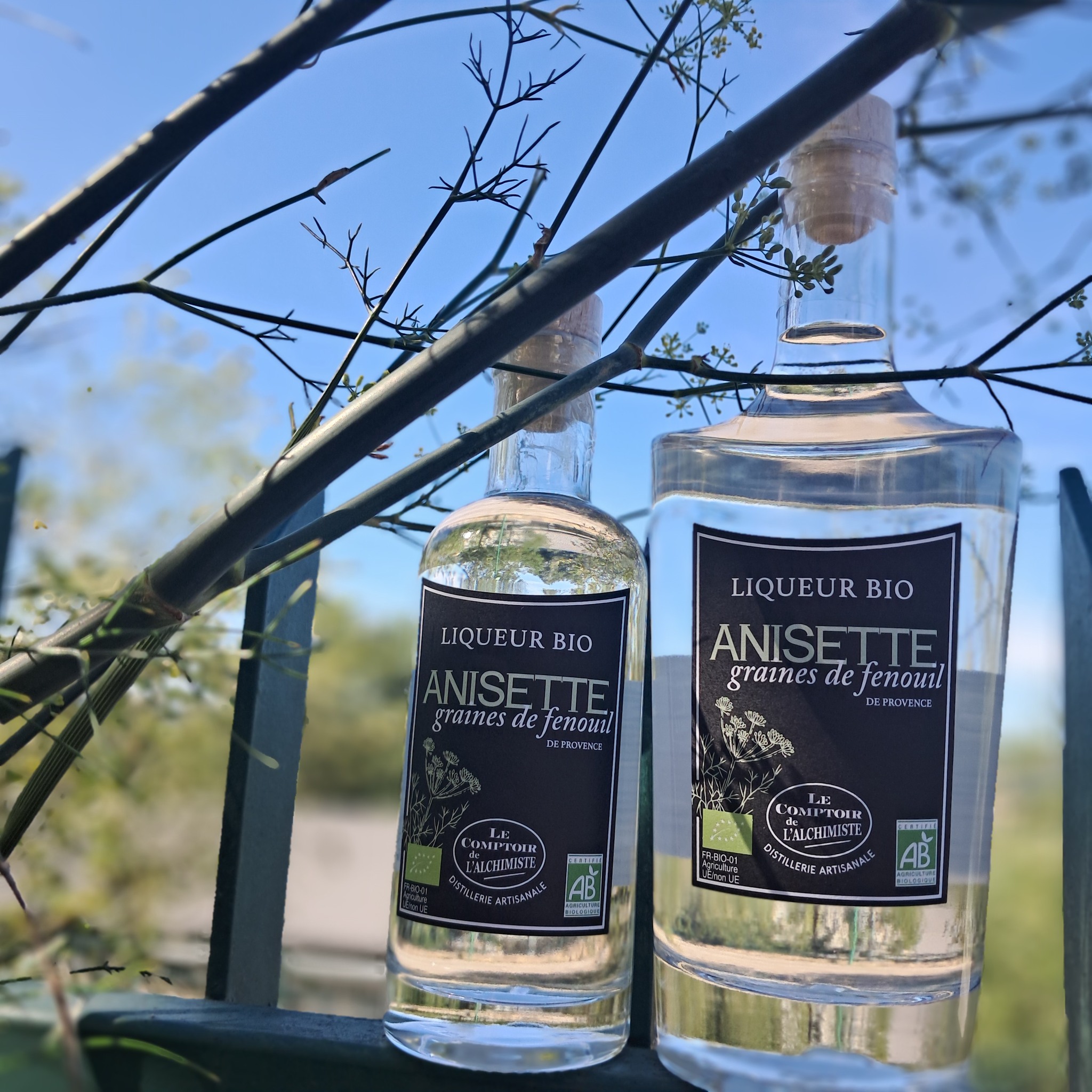 🌿✨ NOUVEAUTÉ À LA DISTILLERIE LE COMPTOIR DE L'ALCHIMISTE ✨🌿
Les alchimistes de la distillerie sont heureux de vous dévoiler notre toute dernière création : L'Anisette Sauvage de Provence 🍃🍸
Élaborée avec soin, cette liqueur délicate est infusée de graines de fenouil sauvage, récoltées à la main dans les collines ensoleillées de la Provence. Un savoir-faire artisanal, des ingrédients purs, et la nature à l’état brut pour un goût unique, authentique et délicieusement anisé.
🍃 Savourez la Provence dans chaque goutte : une expérience parfumée, entre douceur et fraîcheur, qui vous transportera au cœur des paysages sauvages de notre belle région.
À déguster pur, en cocktail ou pour sublimer vos desserts, l’Anisette Sauvage de Provence est le compagnon idéal pour vos moments de partage.
Disponible dès maintenant en boutique et en ligne ! 🛒
🌟 Le Comptoir de l'Alchimiste – Un voyage gustatif, à la fois traditionnel et audacieux. 🌿✨
L'abus d'alcool est dangereux pour la santé, à consommer avec modération.
#AnisetteSauvage #FenouilDeProvence #DistillationArtisanale #lecomptoirdelalchimiste #NatureEtSavoirFaire #LiqueurProvençale