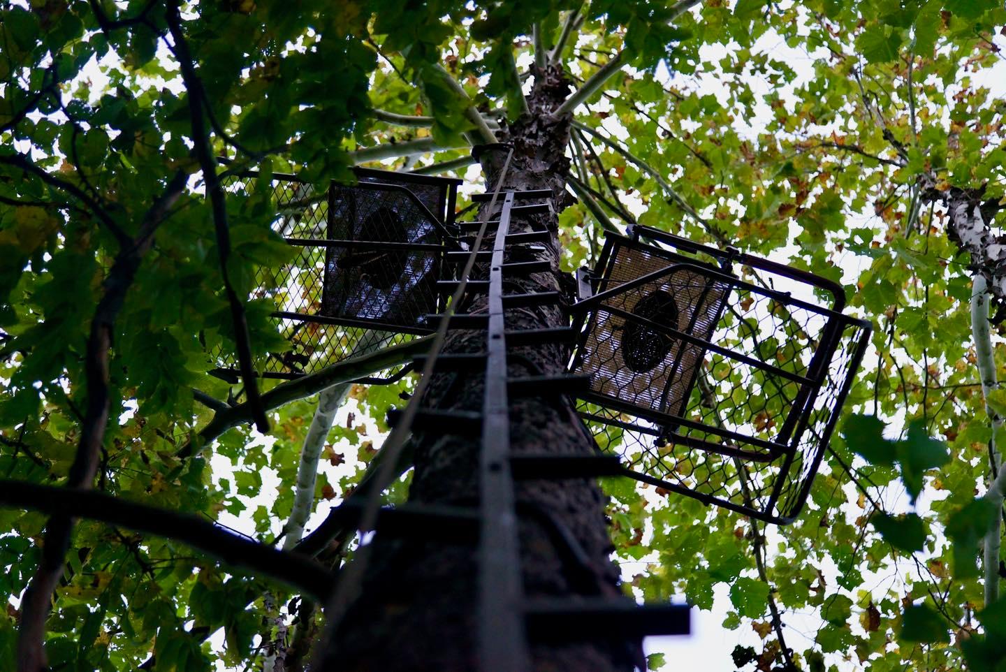 Whether you want to hunt tandem or are needing a stand for a cameraman, a double hang-on set like this one from @durlwood_outdoors is a great way to do so. Check out are hang-on and climbing stick options to customize your own setup! 🔥
FREE Shipping Site-Wide 📦
Shop today at the link in bio or your local dealer.
#TrophyTreestands