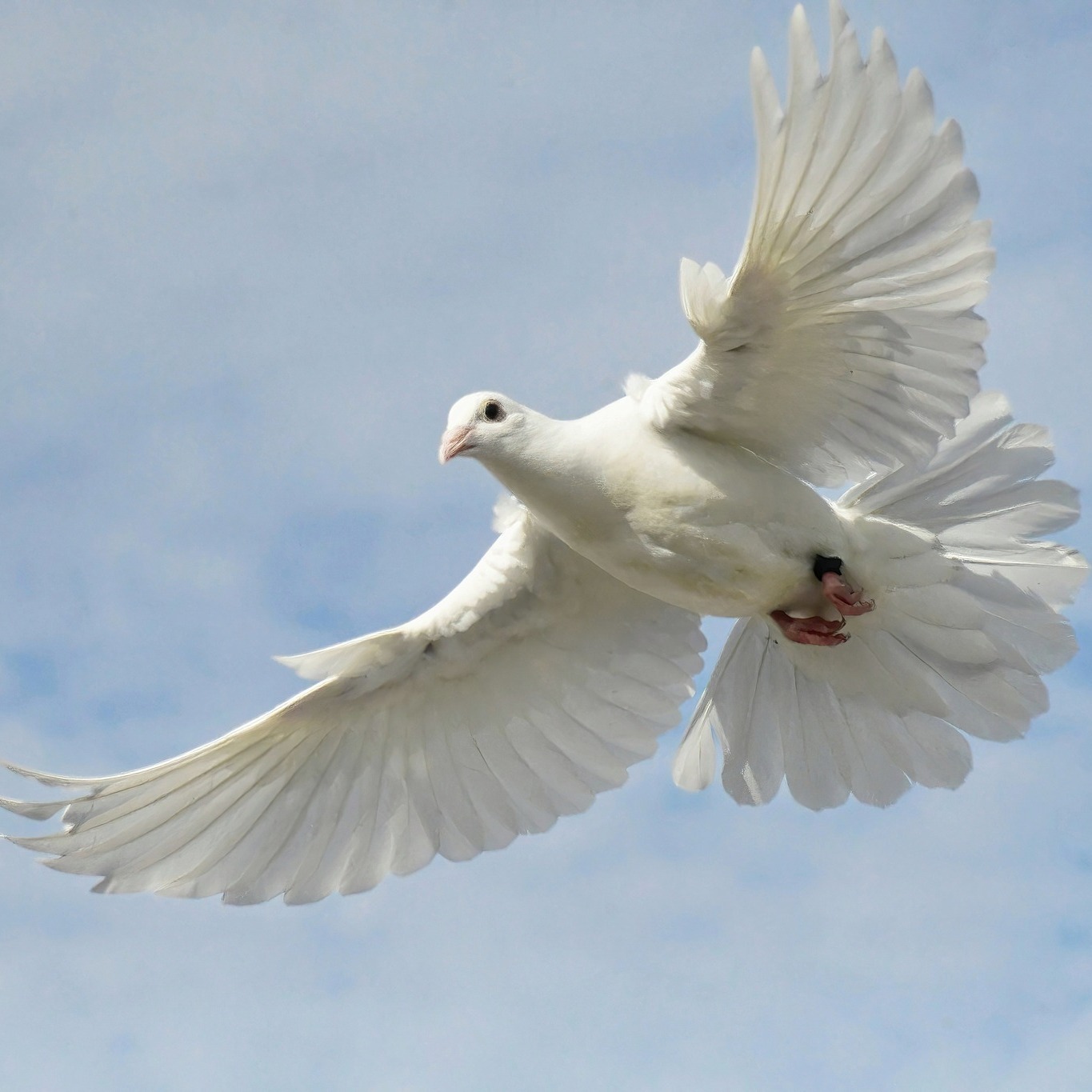 Spring at the ranch is alive with colour and song 🌸🕊️✨
From the rainbow bee-eaters darting through the sky to the gentle calls of baby opsprey, pied oystercatchers and the doves, this season invites us to pause, breathe, and simply watch nature at her very best.
It’s a beautiful reminder that sometimes the greatest wellness comes from switching off and tuning in to the rhythms around us. 💛 Book your stay today...
#NaturesPlayground #SugarBeachRanch #EquineWellness #SpringMagic
📷 @seanosheaart