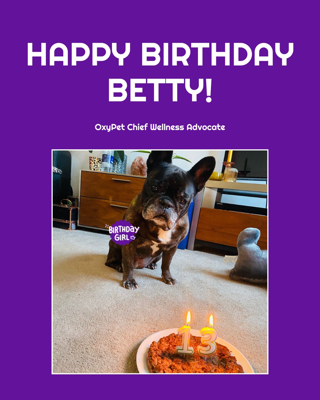 Happy 13th Birthday to our Chief Wellness Advocate, Betty! 💜
She’s 13 today. She’s still thriving. And she still doesn’t share her cake...