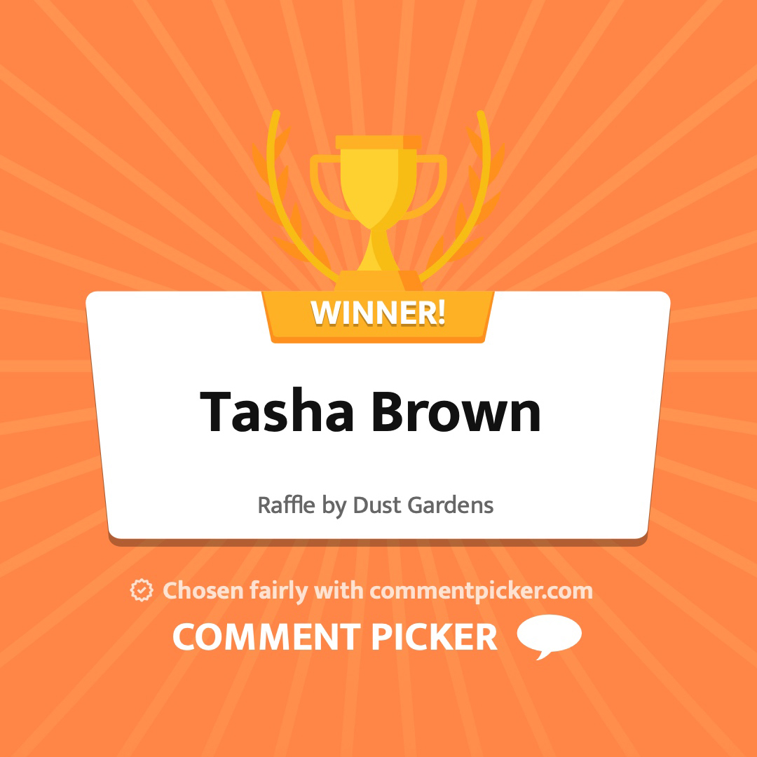Congratulations Tasha Brown! You're the winner of a drop-in planter from Dust Gardens. Thanks for sharing!