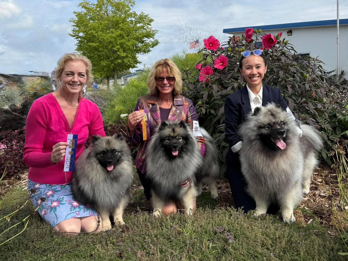 It was a great day for team Peregrine at the Sheboygan Kennel Club dog show!
Shinya and Lucian “Peregrine Divine Light BCAT TKN” won Winners Dog for a big fat 4pt Major!
Me and Amex “Peregrine’s Kiss My Assets” won BOW for another big fat 4 pt Major!
⭐️Star of the day⭐️
Pam and Dillon - Ch Peregrine Green and Gold Trifecta RATS BCAT CGC TKA - won Best of Breed!
And now we wait for groups!
Big thanks to Judge Eva Berg for thinking so highly of our dogs!
#keeshondsofinstagram #dogshows #keeshond #peregrinekeeshond #showkeeshond #showdogsoninstagram