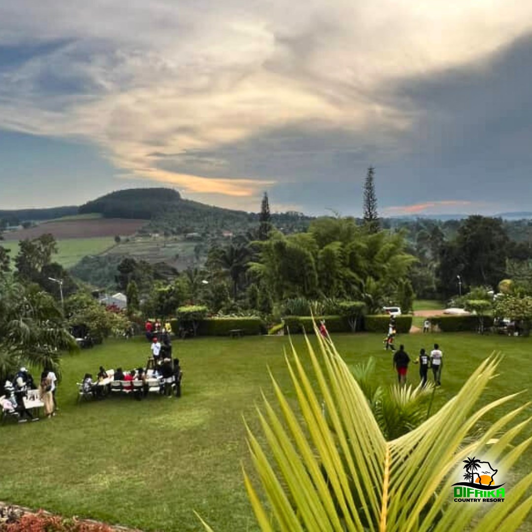 Sunday “Taste of Uganda” Mr Hugs festival (harvest-based dishes + juice tastings)
#SeptemberSerenity #TasteOfUganda #HeritageByTheNile #DifrikaCountryResort #NileHeritageRetreat