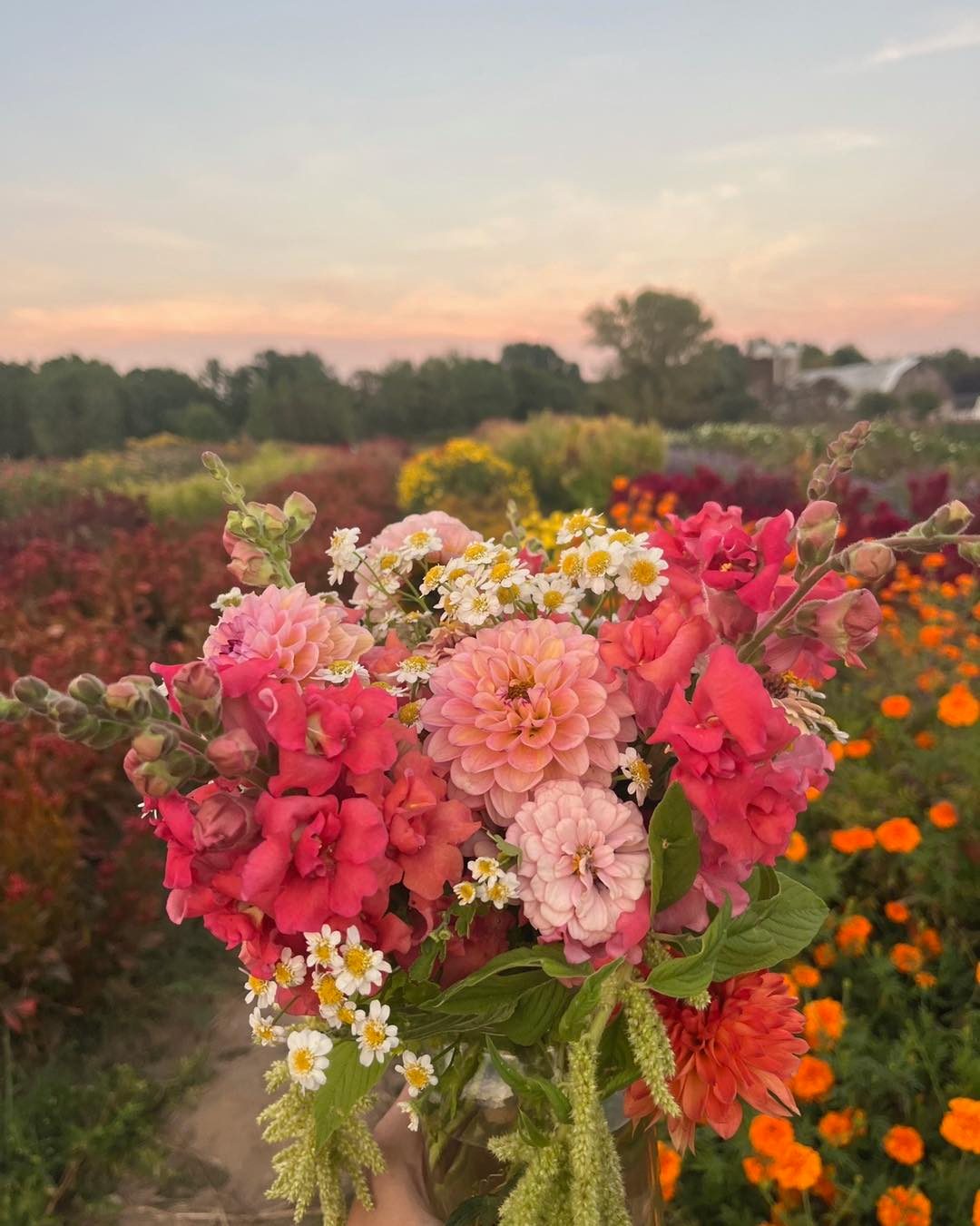 A big THANK YOU to Raindance Flower Farm for a successful fundraiser and community building event last week and also to everyone that came.💐🌸🌻 Keep an eye out for more opportunities to connect with our FUMCN Community throughout the year. We’d love to see you!