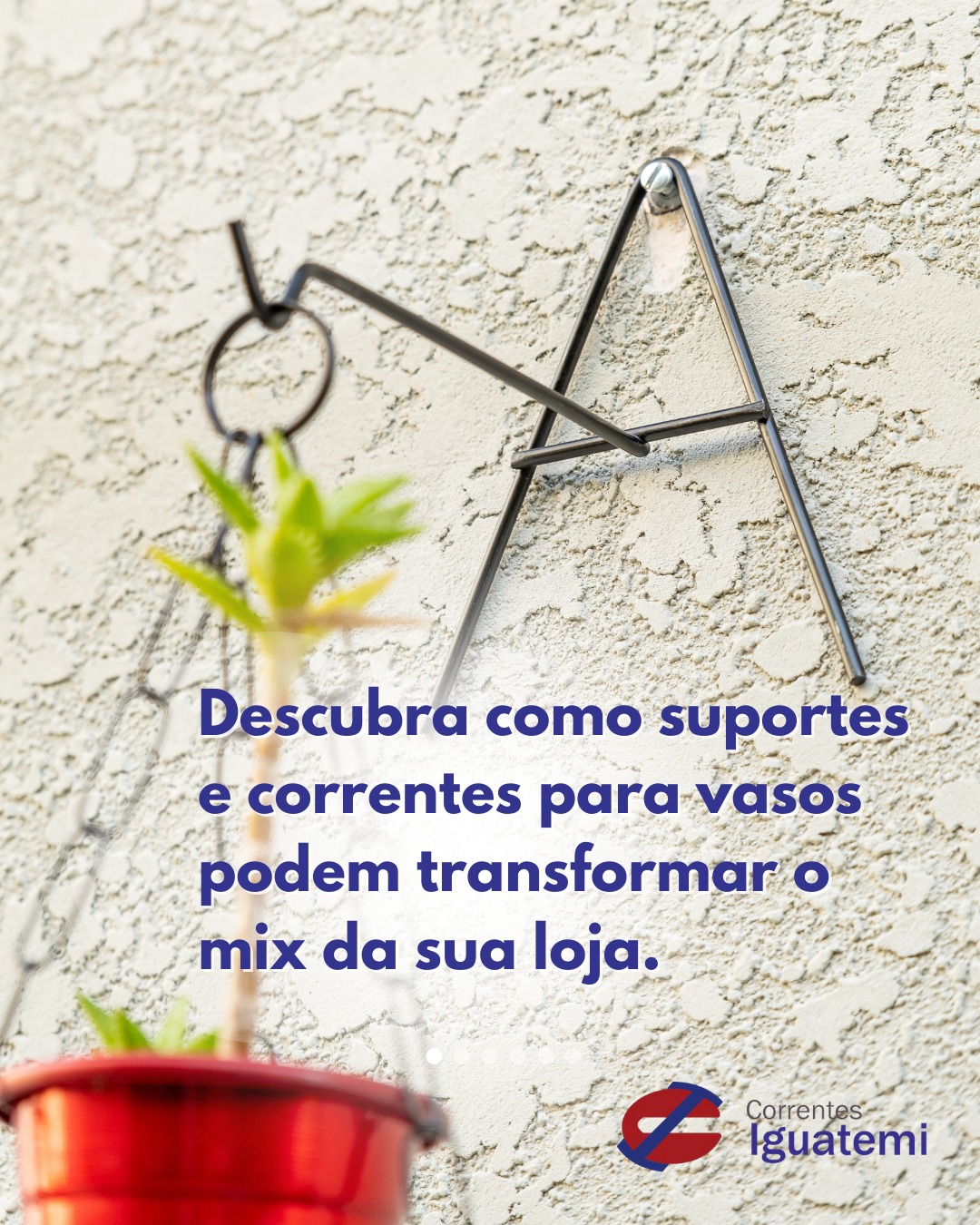 🌿 Quer aumentar as vendas da sua rede?
Ter suportes e correntes para vasos no mix da sua loja é uma forma inteligente de atrair clientes e gerar mais negócios.
✨ Confira 5 vantagens:
1️⃣ Aumenta o ticket médio por compra
2️⃣ Atende à demanda crescente por jardinagem e paisagismo
3️⃣ Diferencia sua loja da concorrência
4️⃣ Produto de alta rotatividade e fácil exposição
5️⃣ Parceria com fornecedor especializado e confiável
👉 Se a sua rede de supermercados ou lojas de paisagismo busca qualidade, variedade e agilidade na entrega, fale com a nossa equipe e conheça nossa linha completa!
📩 Entre em contato e vamos conversar sobre como levar essa oportunidade para o seu negócio.
#Jardinagem #Paisagismo #Supermercados #GardenCenter #DecoraçãoVerde #Atacado #Distribuidor #LojaDeJardinagem #Vendas