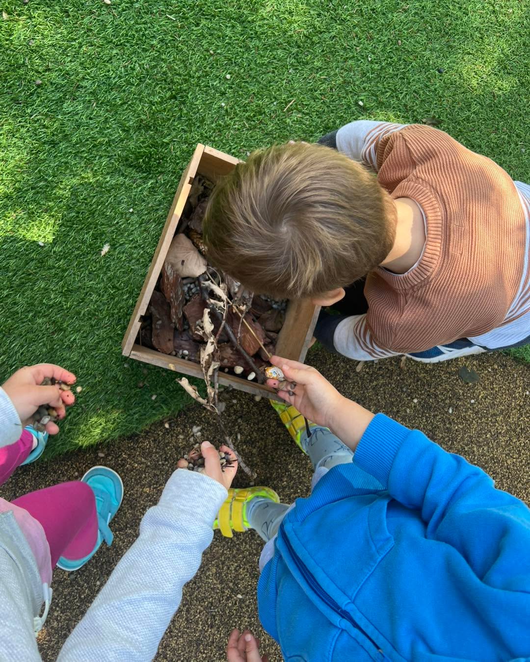 betakarítás 🍂🌰. #babolygó #óvoda #osz #termések #autumn #kindergarten #gyerekek