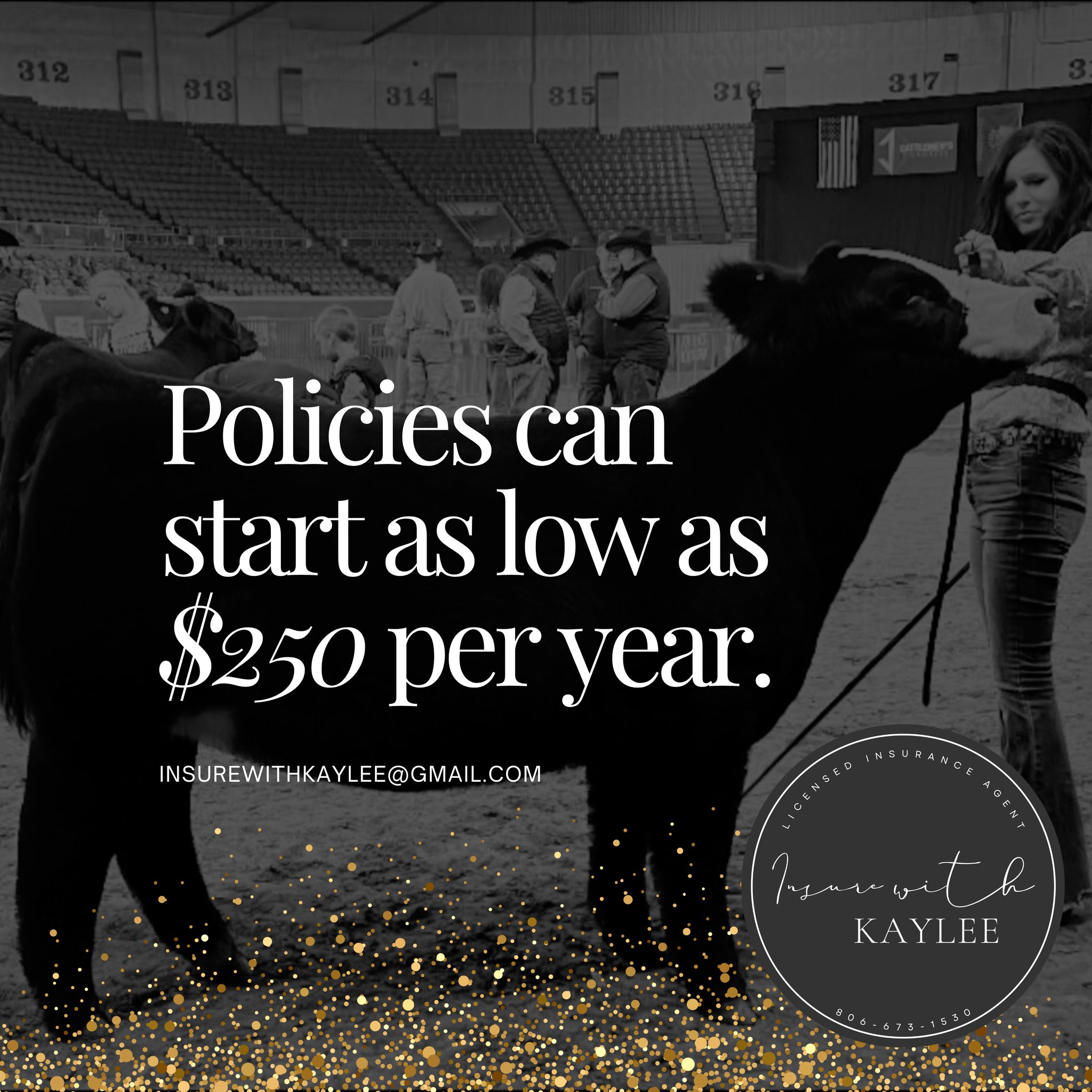 Mortality insurance policies can start at just $250 per year — making it one of the most affordable ways to protect your livestock and equine investments.
Insurewithkaylee@gmail.com
https://www.kayleeimkeequineagent.com/