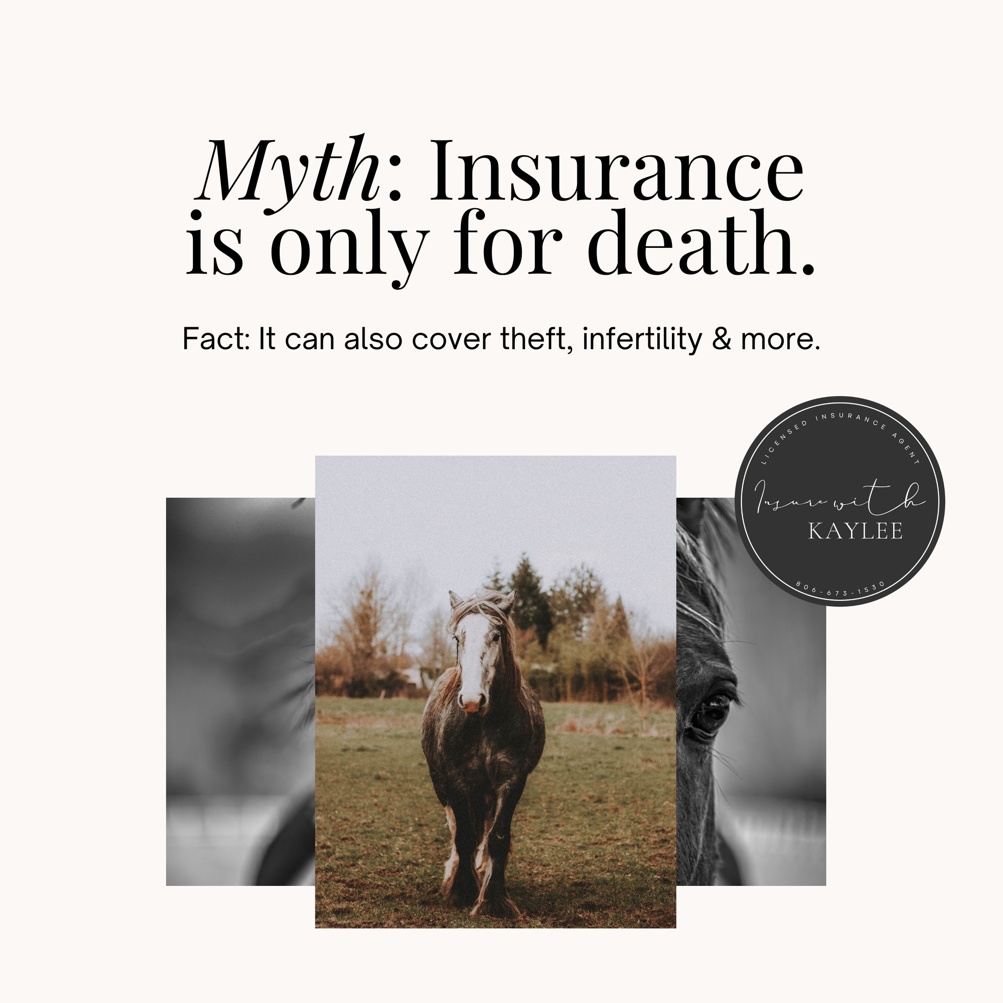 Myth: Mortality insurance only helps if your animal dies.
Fact: Coverage can also include theft, infertility endorsements, frozen semen & embryo storage, and more.
Your animals are more than a number — protect the investment, genetics, and future of your herd.
Insurewithkaylee@gmail.com