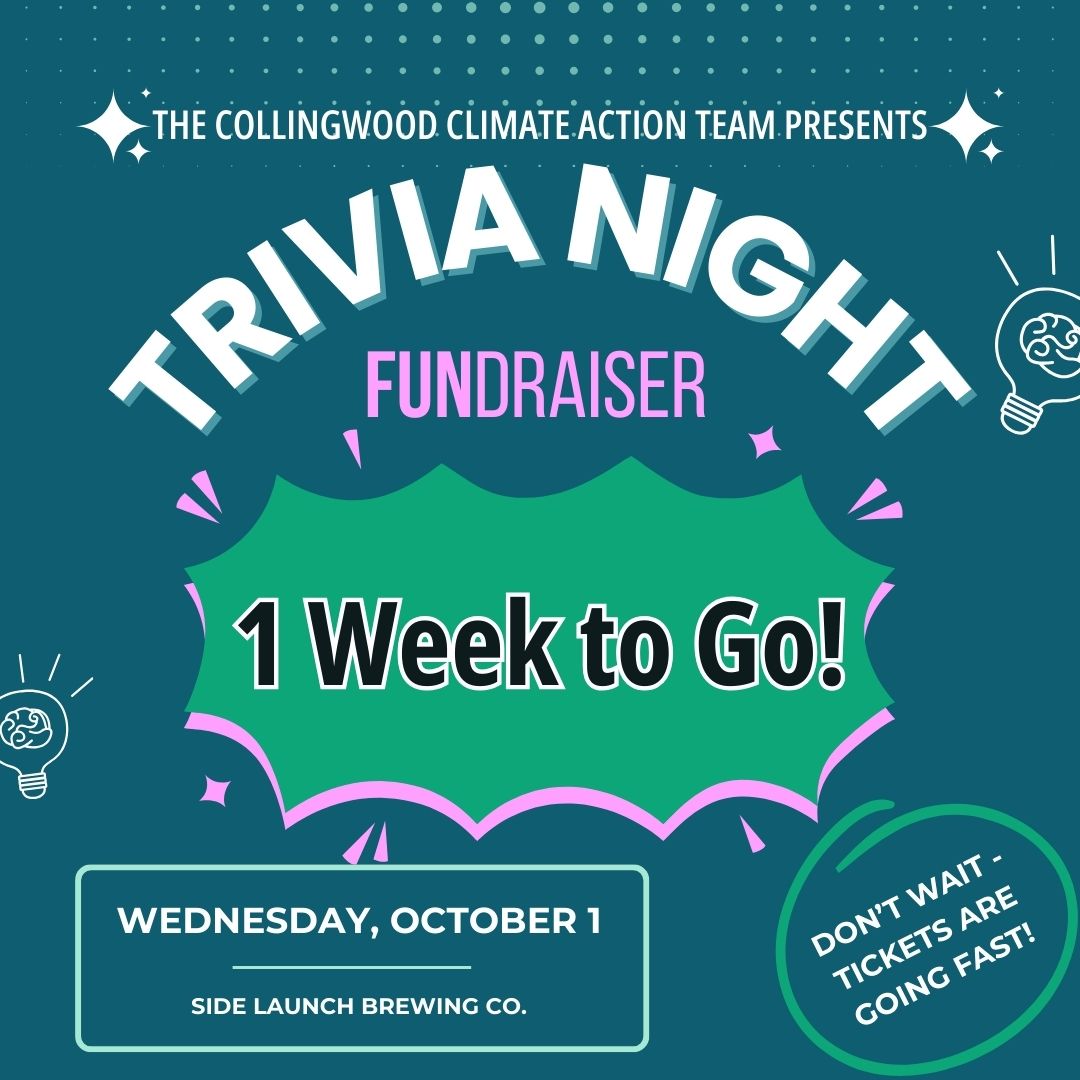 Only 7 days left until our big night of trivia, prizes, & fun—all to support building a sustainable community. 💵 Tickets: square.link/u/INOGTDC3 Come for: Fun trivia rounds 🧠 Silent auction & raffle 🎁Food & drinks 🍕🥤Bring your friends, test your knowledge, & help make a difference in our community. Don’t wait—tickets are going fast!
👉 Grab yours here: square.link/u/INOGTDC3 OR L1nk in Bi0
#trivianight #fundraiser #trivianightfundraiser #climatepollution #localcharity #collingwood