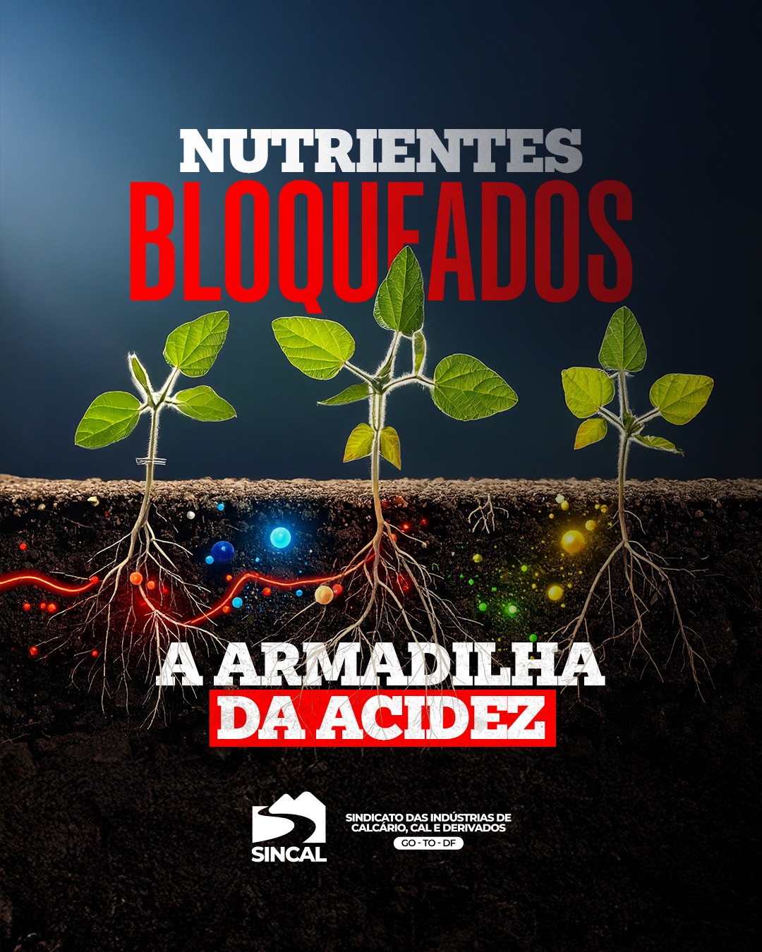 Sem calcário, o solo não libera nutrientes. Resultado? Plantas fracas e baixa produtividade.