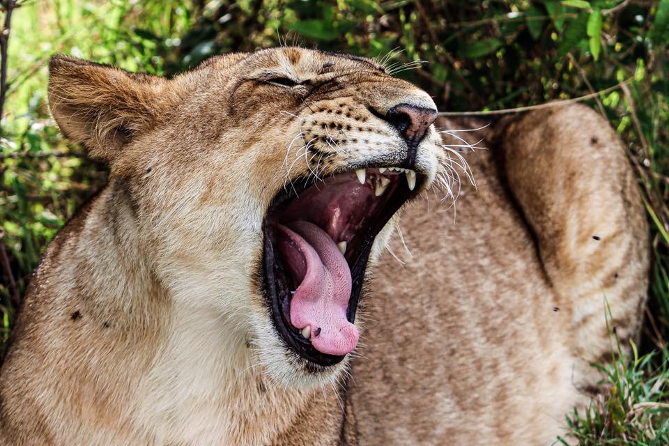 This is how I feel after a long day of meal prepping and packing for a six day deep Bush camping mission 😂
Please keep all of us in your prayers over the next week