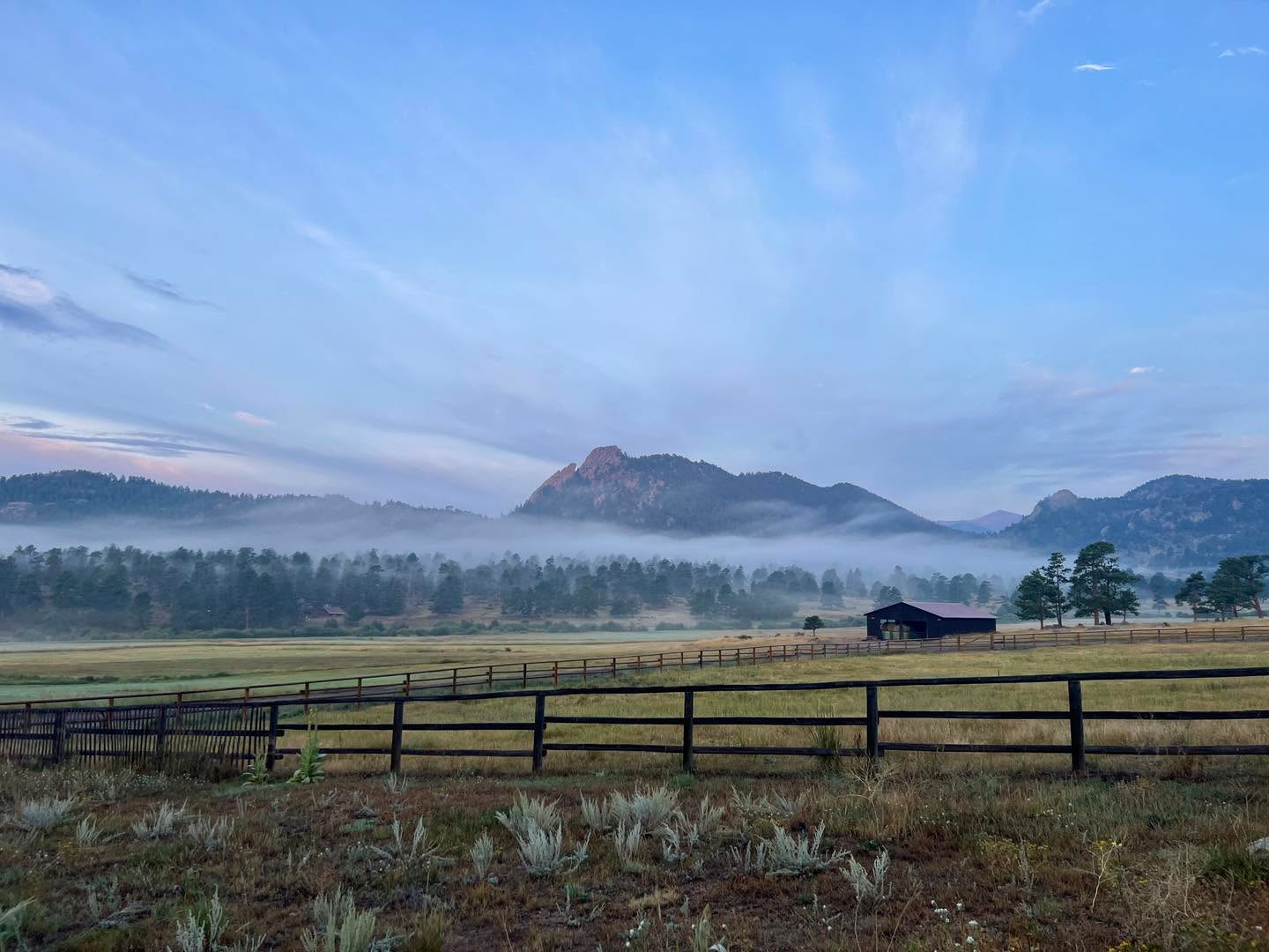 🏡🤠Thank you to everyone who visited the MacGregor Museum this summer! We loved welcoming you, sharing the rich history of the ranch, and seeing your enthusiasm for the stories and heritage preserved here.
This summer museum visitation was up 12% compared to last year, not including the many unpaid groups who visited the ranch, like youth and camping groups. It’s inspiring to see more people connecting with the history we work so hard to preserve.
As the season winds down, we’re closing the museum for the year, but we’re already looking forward to opening our doors again next spring. 🌸 Until then, thank you for being part of keeping the MacGregor legacy alive! 🐮