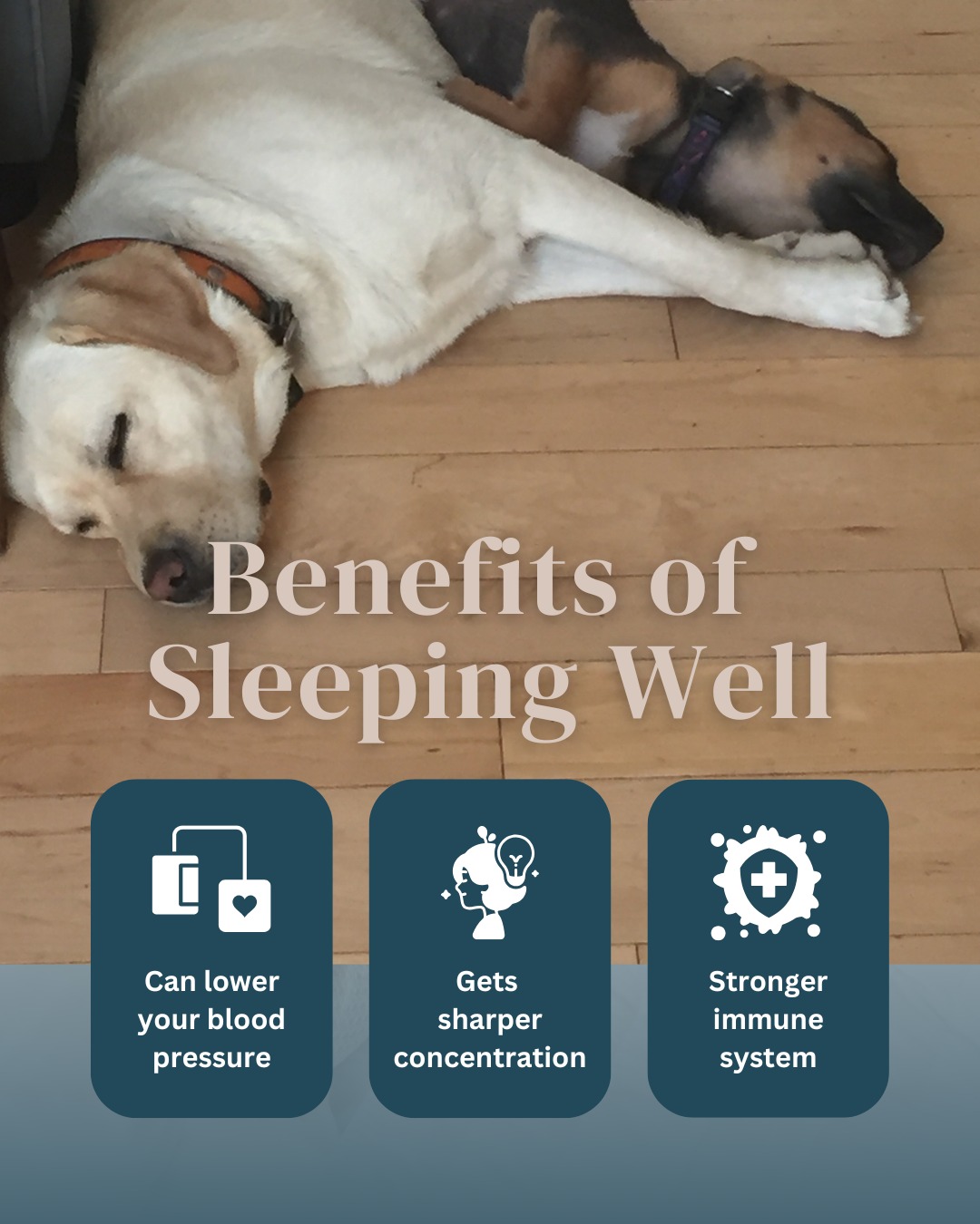 Last night I slept for 7 straight hours and woke up... refreshed? 😴
I know, revolutionary concept!
But seriously - remember when we thought wine helped us sleep?
Meanwhile we were waking up at 3am with racing hearts, replaying every conversation from our shift, unable to get back to sleep until 5am?
The sleep quality difference without alcohol is like upgrading from a lumpy hospital cot to a luxury mattress.
Better sleep = better mood regulation = better patient care = better relationships = better EVERYTHING.
Sometimes the smallest glimmers (like actually feeling rested) create the biggest ripple effects ✨
.
.
.
#SleepQuality #AlcoholFree #ShiftWork #MidwifeWellness #RecoveryWins