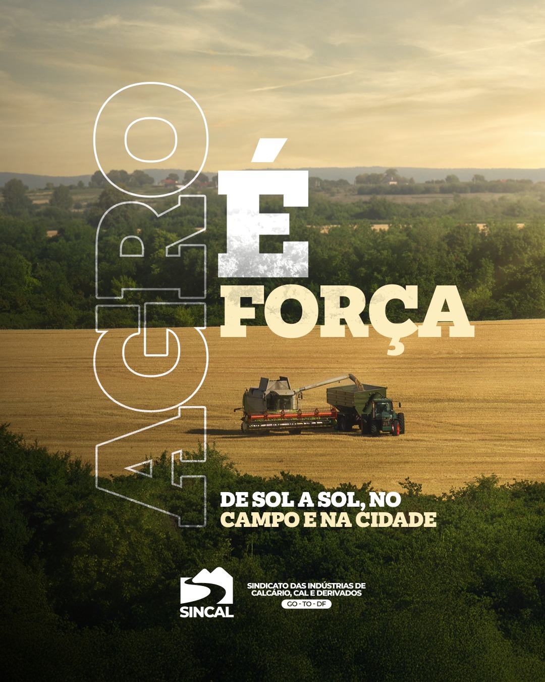 O trabalho de quem planta é o que sustenta quem vive nas cidades.