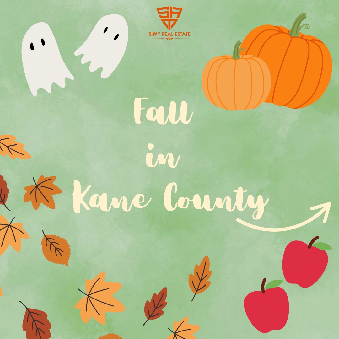 Fall is here! As this cozy season begins, and the leaves start to fall, checkout what Kane County has to offer!