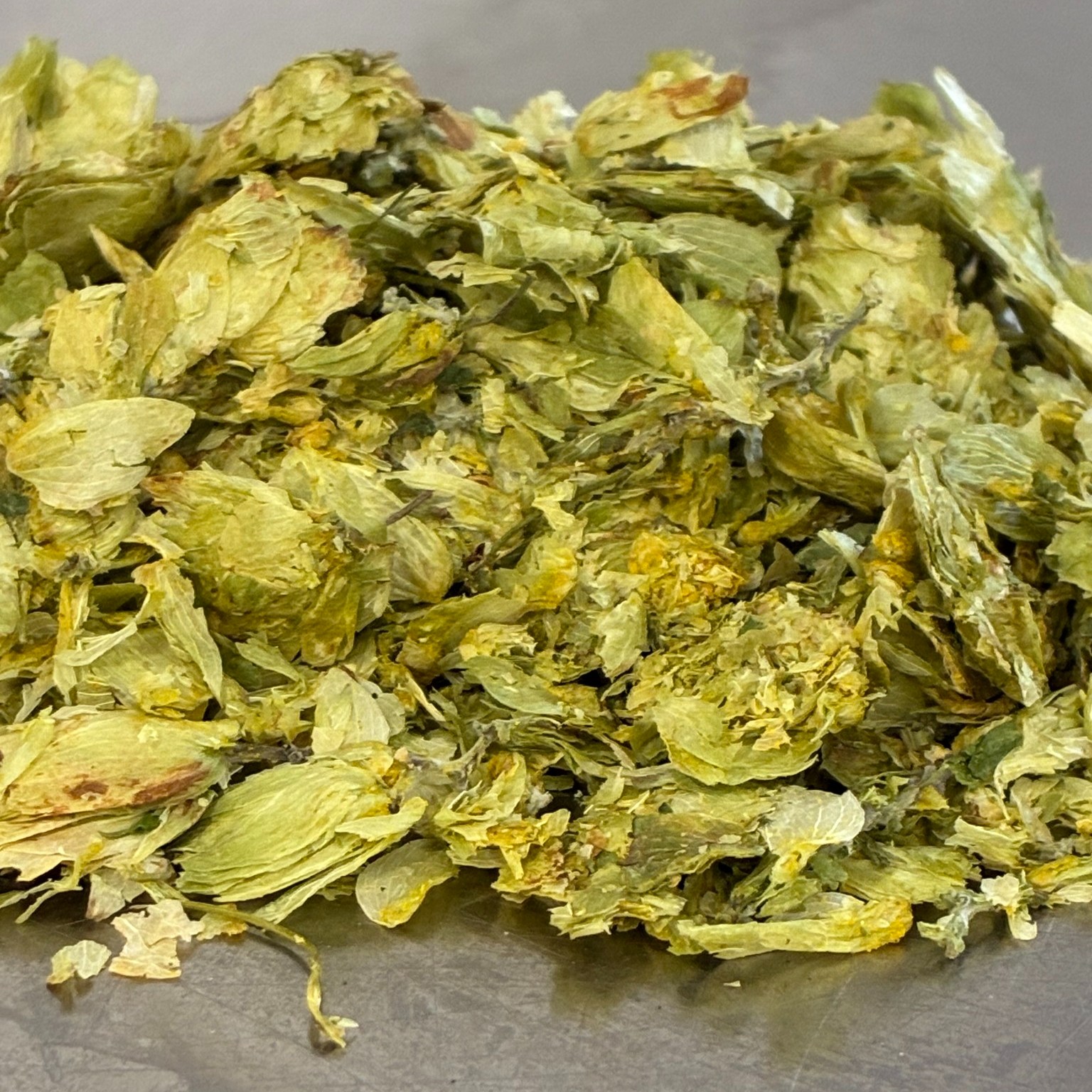 Hold the front page - we're launching a new beer!
Actually I'm not sure how to find the front page of Instagram, if indeed it has one, but this news is bigger than epic.
Matt has been beavering away on a brand new limited edition beer, made with a big load of Olicana hops (see pic) that'll bring the party to your palate.
We're exclusively launching the beer at the St Albans Beer & Cider festival (24th to 27th September) so hop along to the Alban Arena sharpish to make sure you get there before it runs out. Inspired by the theme of this years beer festival it's called Ballito Blonde and it can be found at the Main Stage Bar and the Hertfordshire Bar.
From next week the beer will be available in the finest local pubs, if you want it in your local just mention it to the landlord who's sure to go giddy with excitement.
Also when I get round to it I'll be filling a few mini kegs with the newbie. These will only be available from the Brewery Taproom - watch this space for more details.
We're heading off to the Beer Festival on Weds afternoon so the Brewery Taproom will be shutting early. Sorry, but that's just the way we roll. Open again from Thursday .....
See y'all soon
The 3 Brewers of St Albans
@stalbansbf St Albans Beer & Cider Festival
@camranorthherts South Herts CAMRA