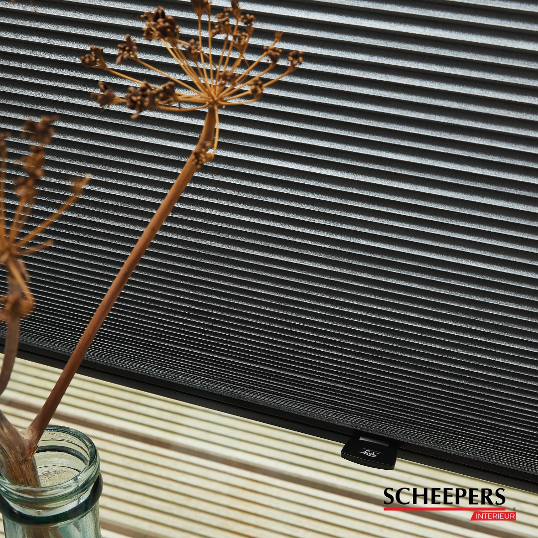 Raamdecoratie kapot of werkt het niet meer zoals het hoort?
Geen zorgen: Scheepers Interieur repareert jouw jaloezieën, duette shades en rolgordijnen vakkundig. 💪
Of het nu gaat om een gebroken koord, een defect mechanisme of een versleten onderdeel: wij zorgen dat je raamdecoratie weer als nieuw hangt.
📞 Bel ons voor een afspraak of kom langs in de showroom in Eindhoven!
#RaamdecoratieReparatie #ScheepersInterieur #Service #Eindhoven