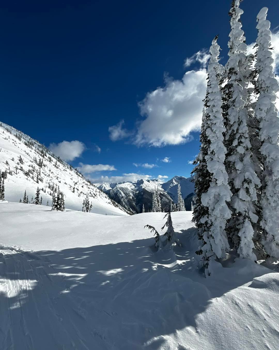 Good morning!!
Have you starting thinking about your 2026 ski missions.
We’ve got you covered. Get in touch!!!
#splitboardingistheanswer #skiporn #mountainlife #mountainsarecalling #ᴍᴏᴜɴᴛᴀɪɴsᴀʀᴇᴄᴀʟʟɪɴɢ #mountainsarecalling⛰ #mountainsarecalling⛰️❤️