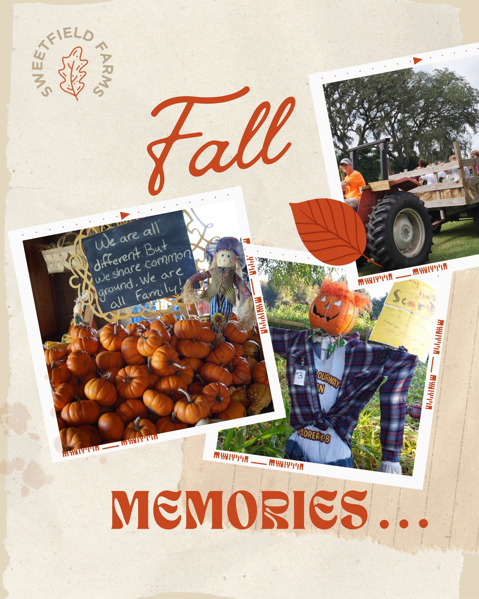 ๐โจ Throwback Thursday โจ๐
Fall at Sweetfields Farm is all about making memories โ from hayrides and corn mazes to pumpkins, laughter, and traditions that last a lifetime. ๐โค๏ธ
๐ธ Looking back reminds us just how magical this season isโฆ and we canโt wait to welcome YOU back to create new memories this year!
๐ Our 18th Annual Fall Festival kicks off THIS SATURDAY and runs through November 9th โ but donโt wait! Tickets sell out quickly.
๐ Grab your tickets today with the link in our bio!
๐ Tag your fall crew and let them know itโs time to start the season right at Sweetfields Farm!