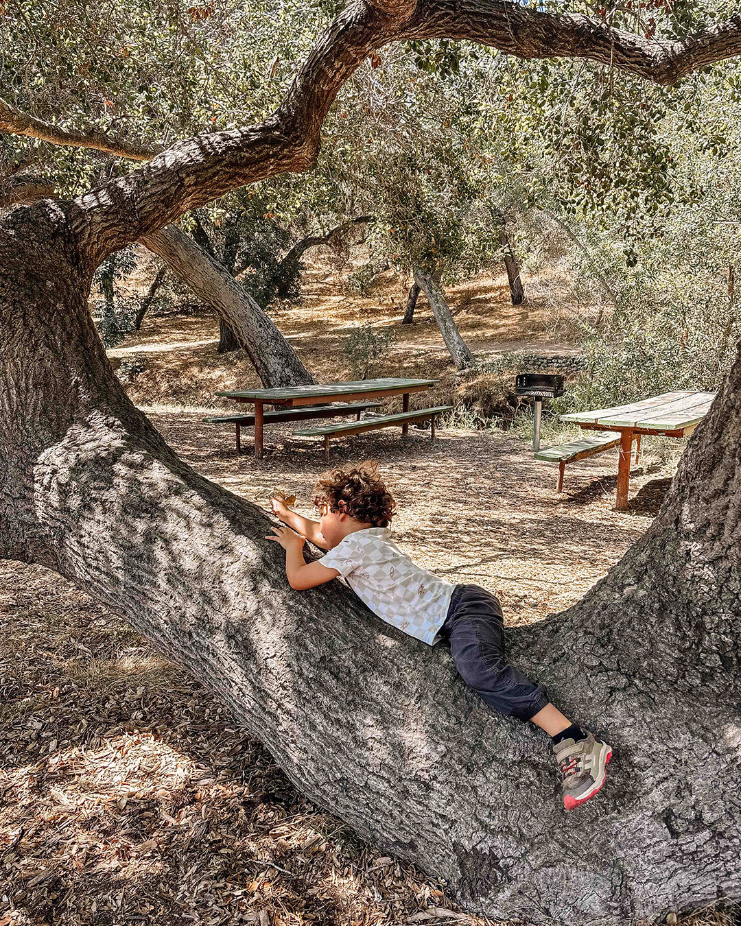 🌿 The forest is more than a backdrop — it’s our co-teacher. 🍂
Every leaf, stone, and sound becomes an invitation to explore, wonder, and create meaning together. In this living classroom, children aren’t just learning in nature, they’re learning with nature.
#ReggioEmilia #ForestSchool #TheEnvironmentAsTeacher #ChildLedLearning #OutdoorClassroom