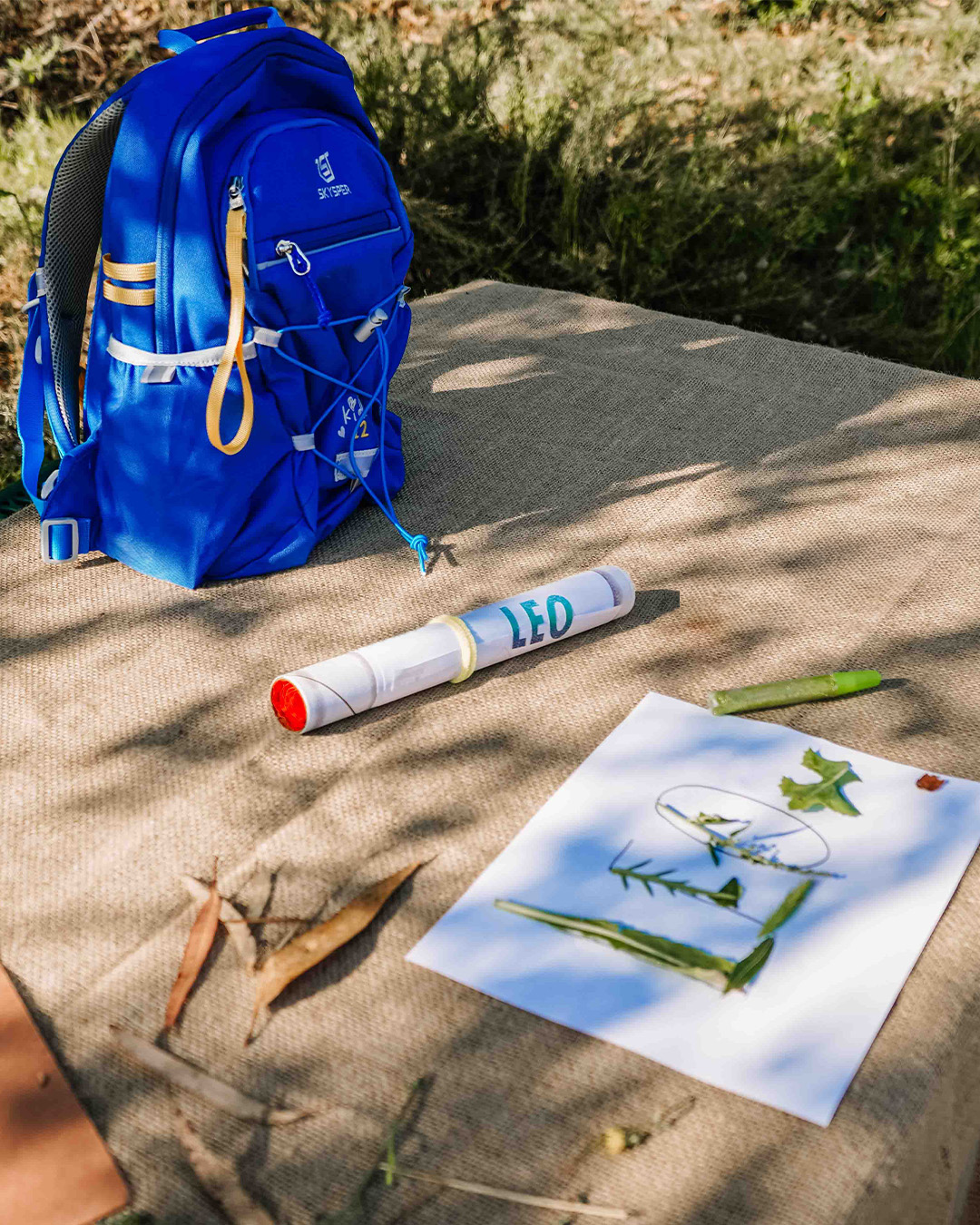 🍃 Wonder is the beginning of knowledge. 🍃
When children pause to notice the curve of a leaf, the tracks of an animal, or the way sunlight filters through branches, they are building the foundations of science, art, and imagination. Joy and learning are inseparable here.
#ReggioEmilia #WonderAndLearning #ForestSchool #OutdoorClassroom #ChildLedDiscovery
